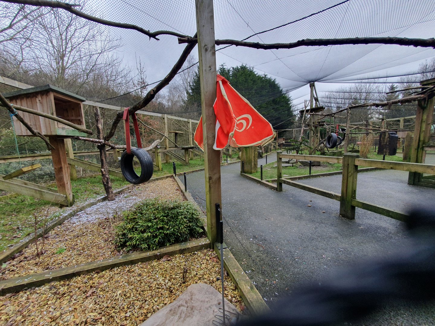 Black and white ruffed lemur and ring tailed lemur enclosure