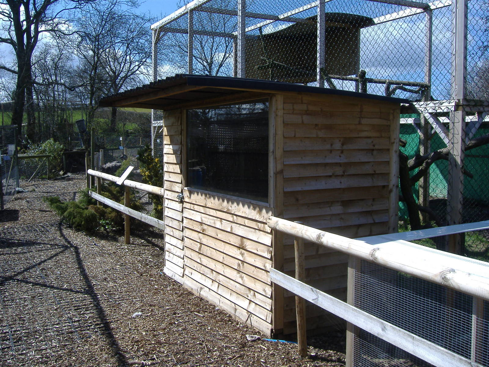 Black and White Ruffed Lemur Axe Valley