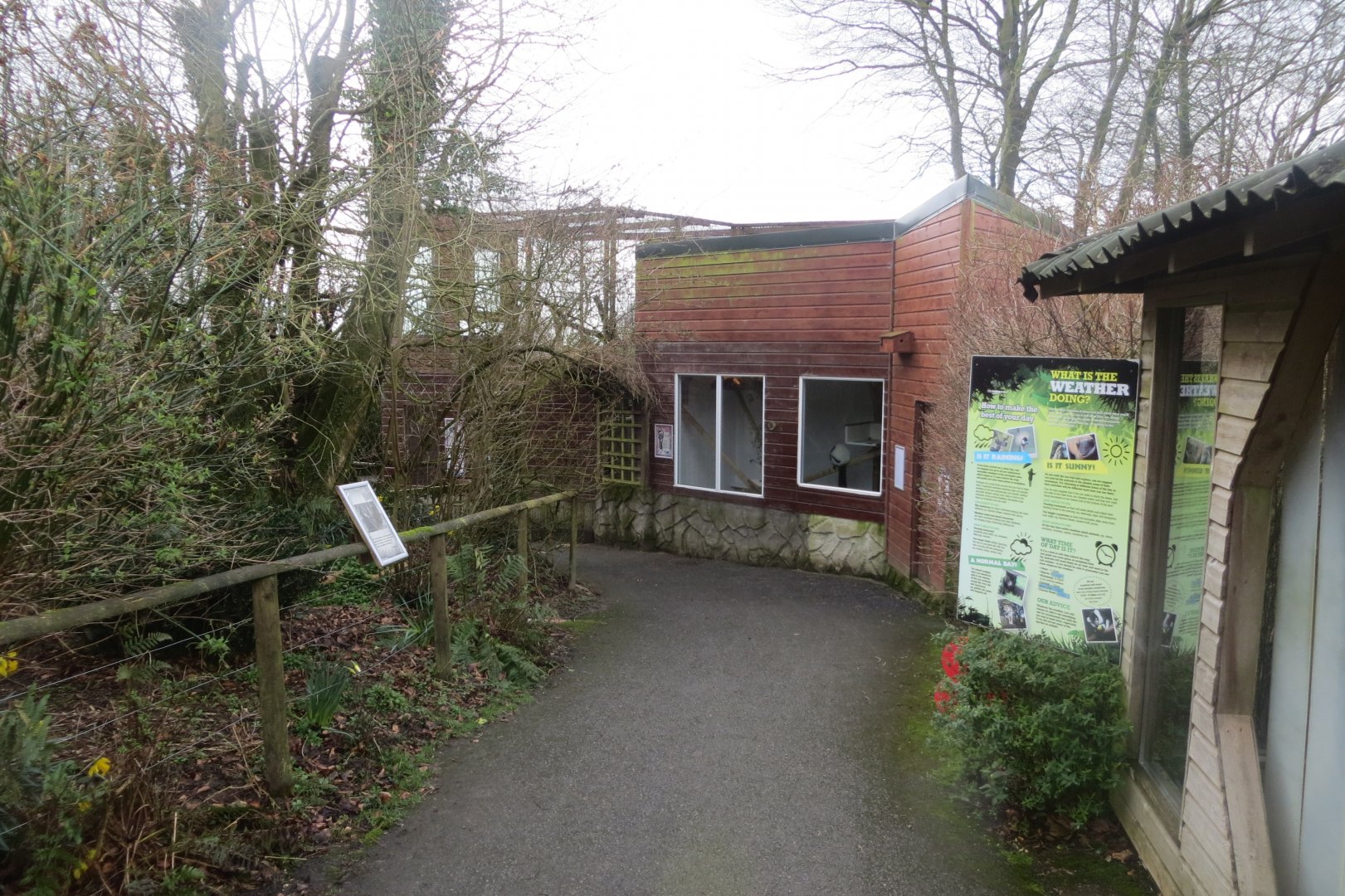 Black and white ruffed lemur enclosure 040319