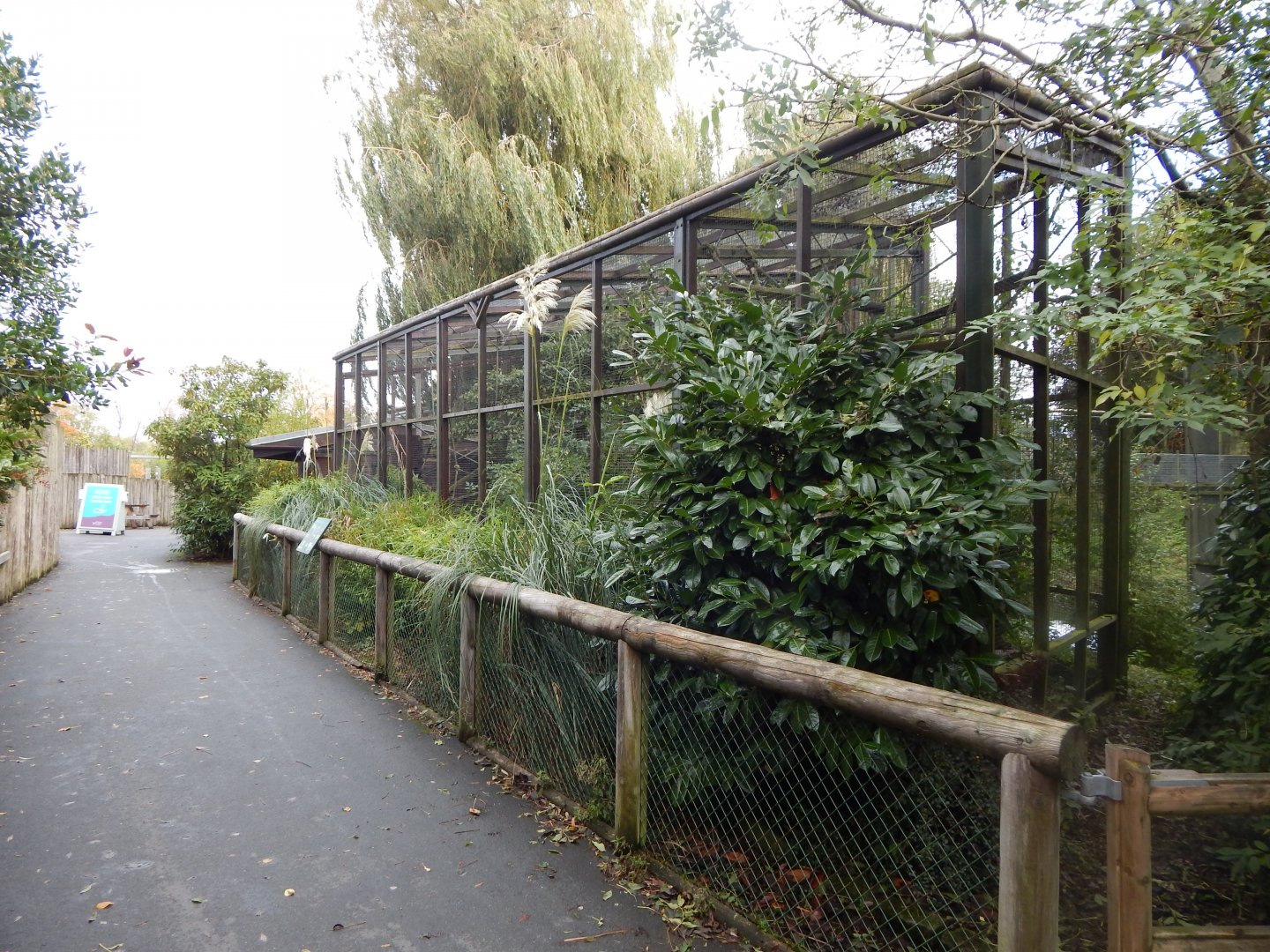 Black and white ruffed lemur enclosure 071020