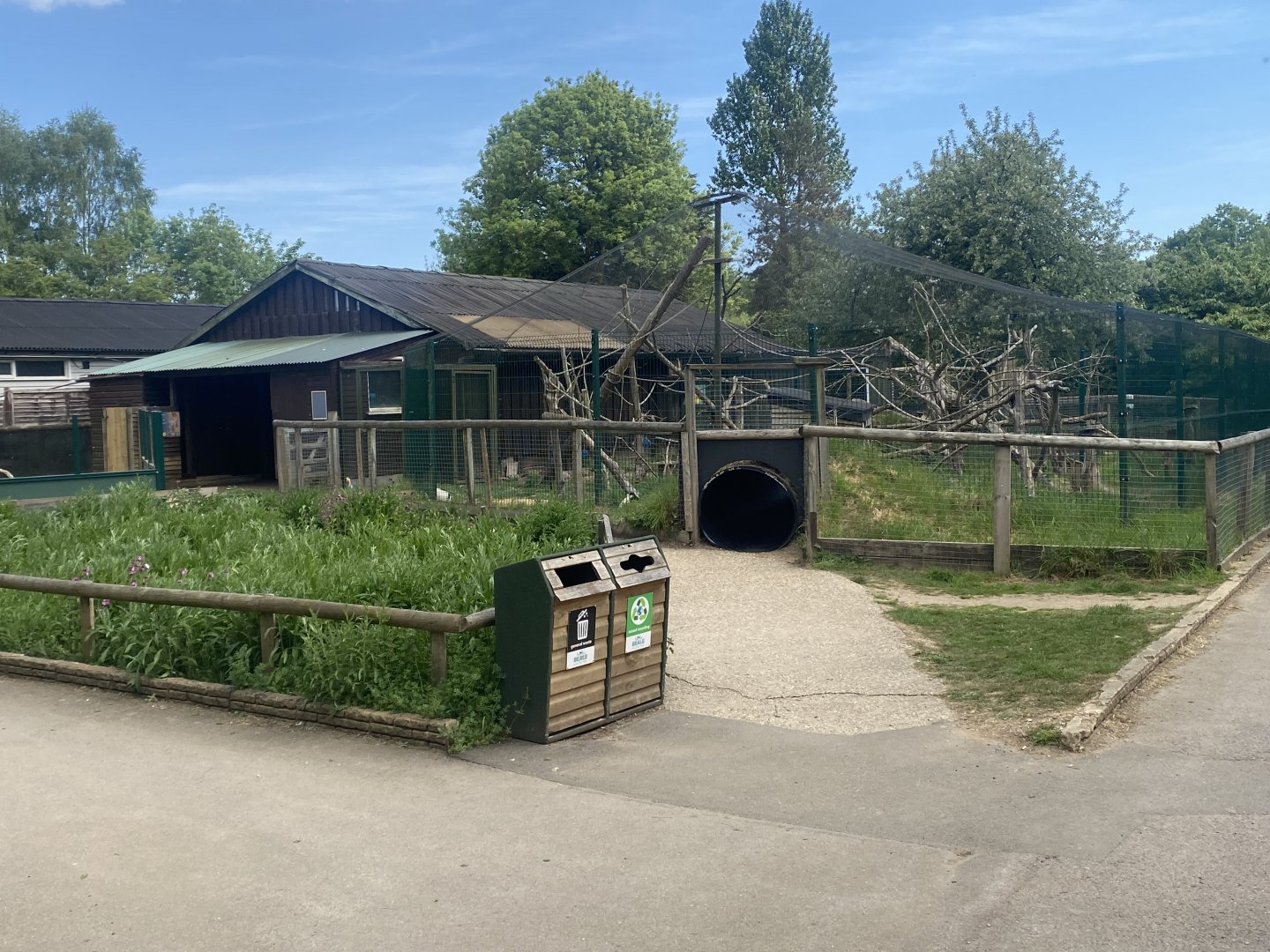 Black and white ruffed lemur enclosure 090525