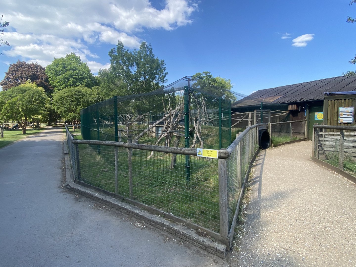 Black and white ruffed lemur enclosure 090525