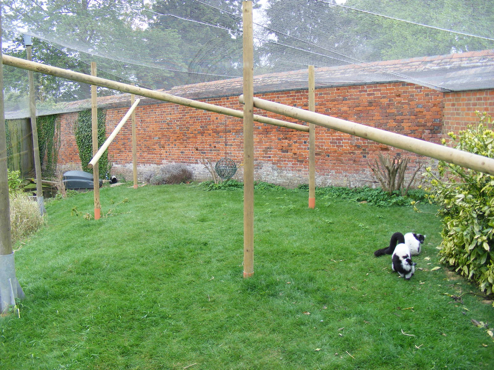Black and white ruffed lemur enclosure at Marwell Wildlife, 9 May 2010