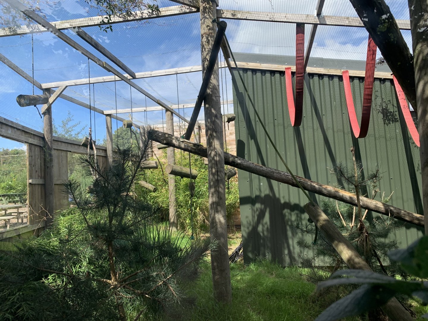 Black-and-white Ruffed Lemur Enclosure at Northumberland College Zoo (2020)