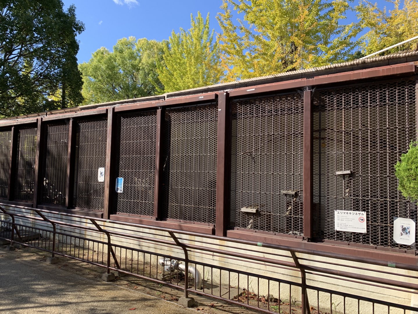 Black-and-white Ruffed Lemur Enclosure (Himeji City Zoo)