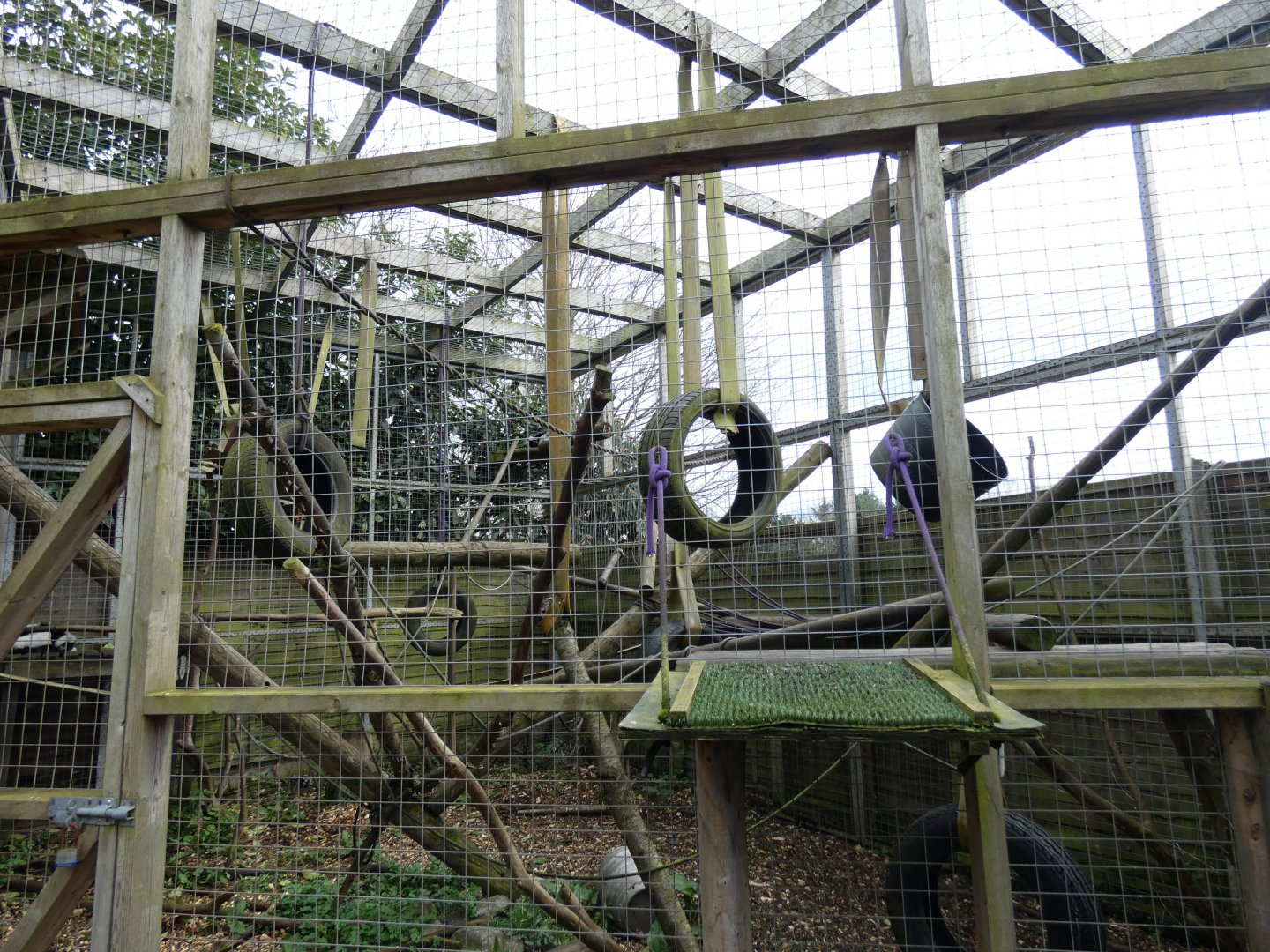 Black-and-White Ruffed Lemur Enclosure