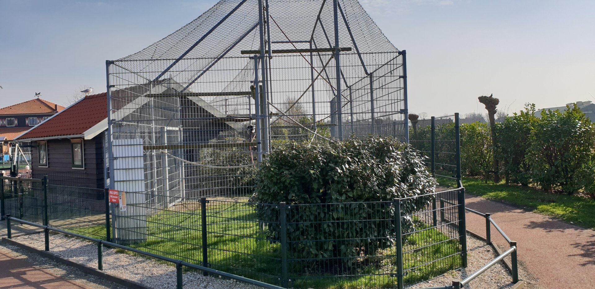 Black and white ruffed lemur enclosure