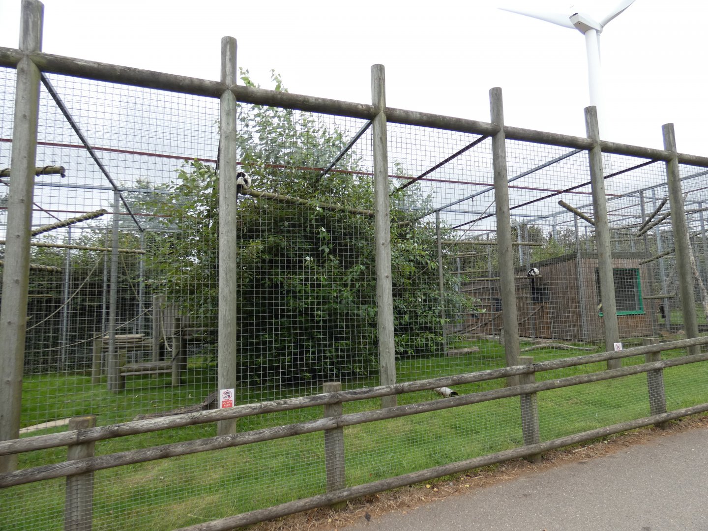 Black-and-white ruffed lemur enclosure