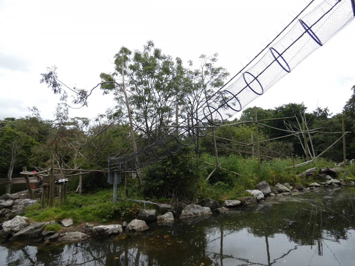Black-and-white ruffed lemur enclosure