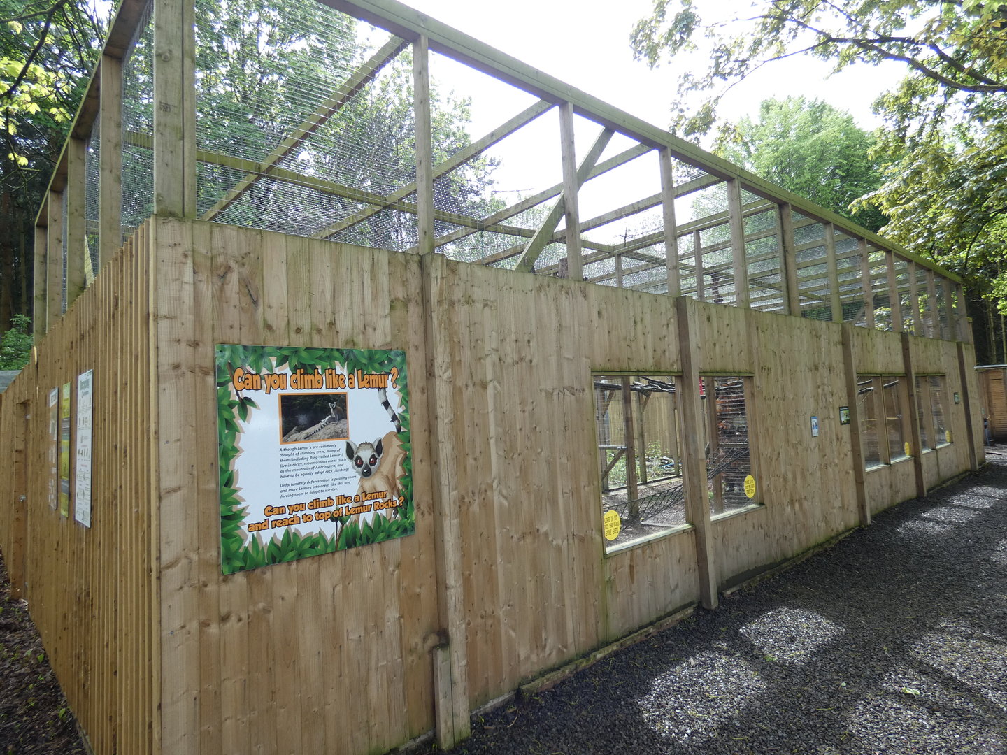 Black-and-white ruffed lemur enclosure