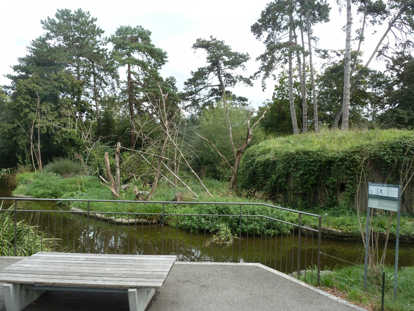 Black-and-white ruffed lemur enclosure
