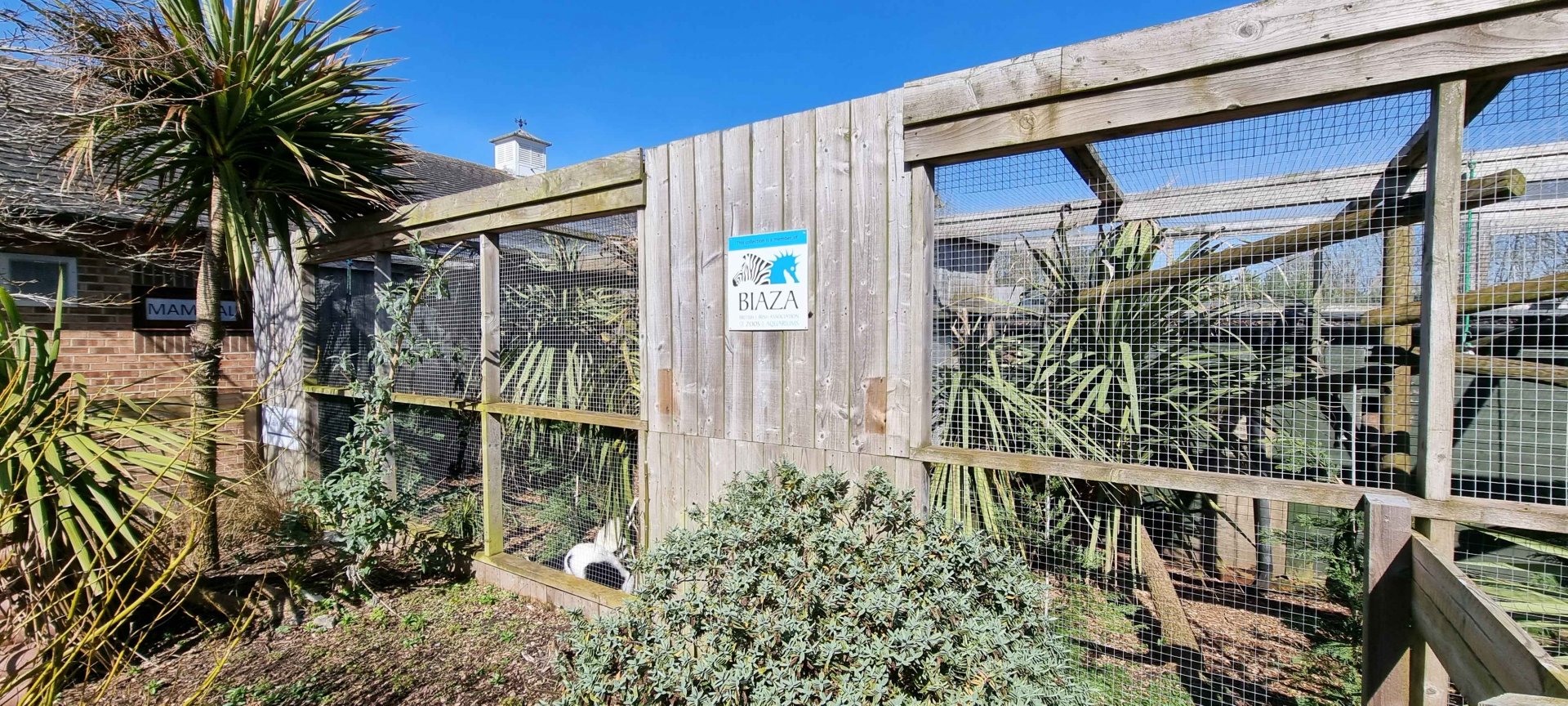 Black-and-White Ruffed Lemur Enclosure