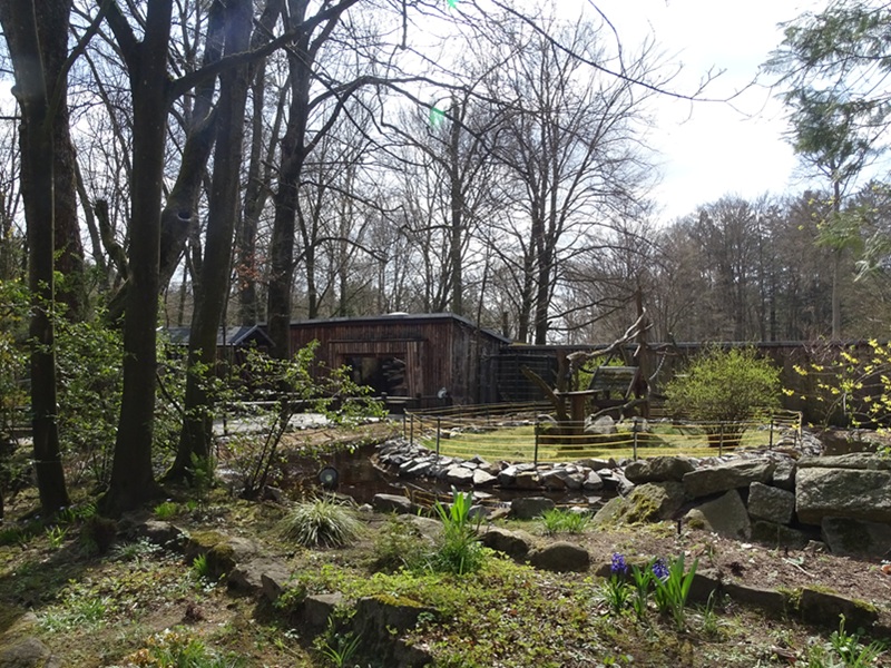 Black-and-white ruffed lemur enclosure