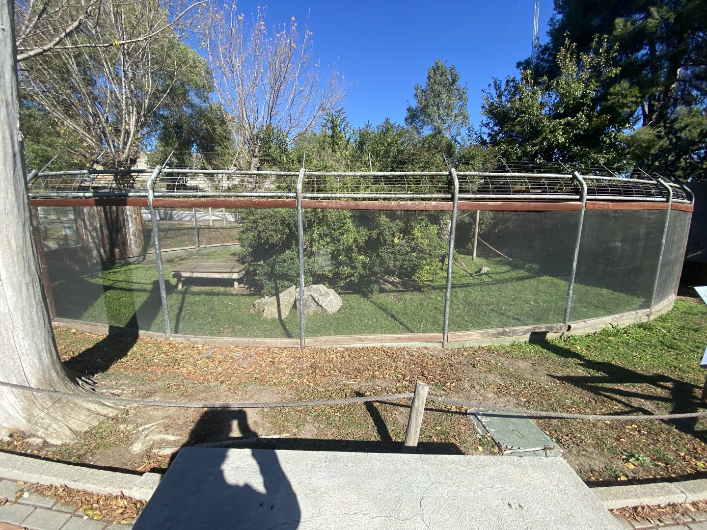 Black and white-ruffed lemur enclosure