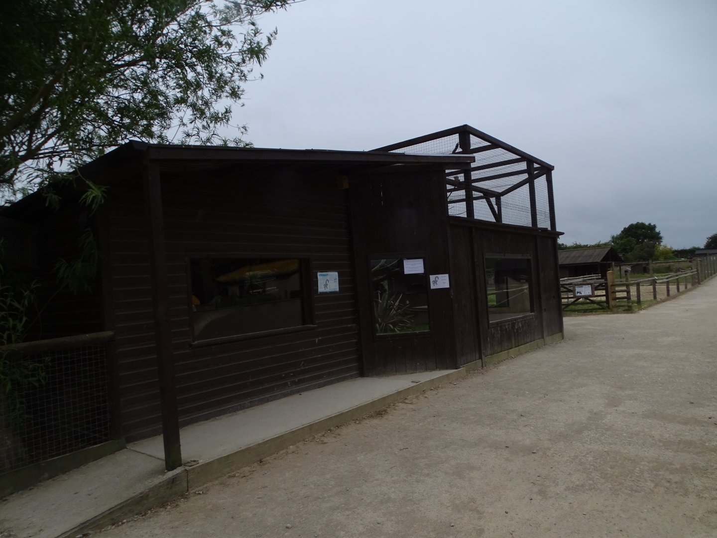 Black and White Ruffed Lemur exhibit, 1st July 2024