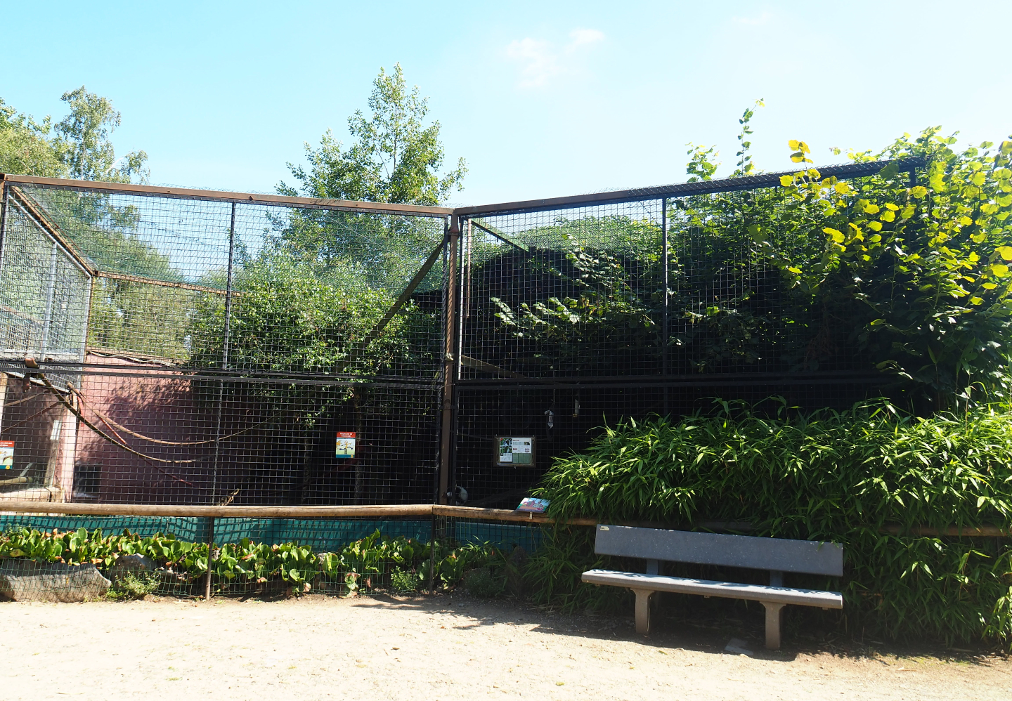 Black-and-white ruffed lemur exhibit, 2019-08-04