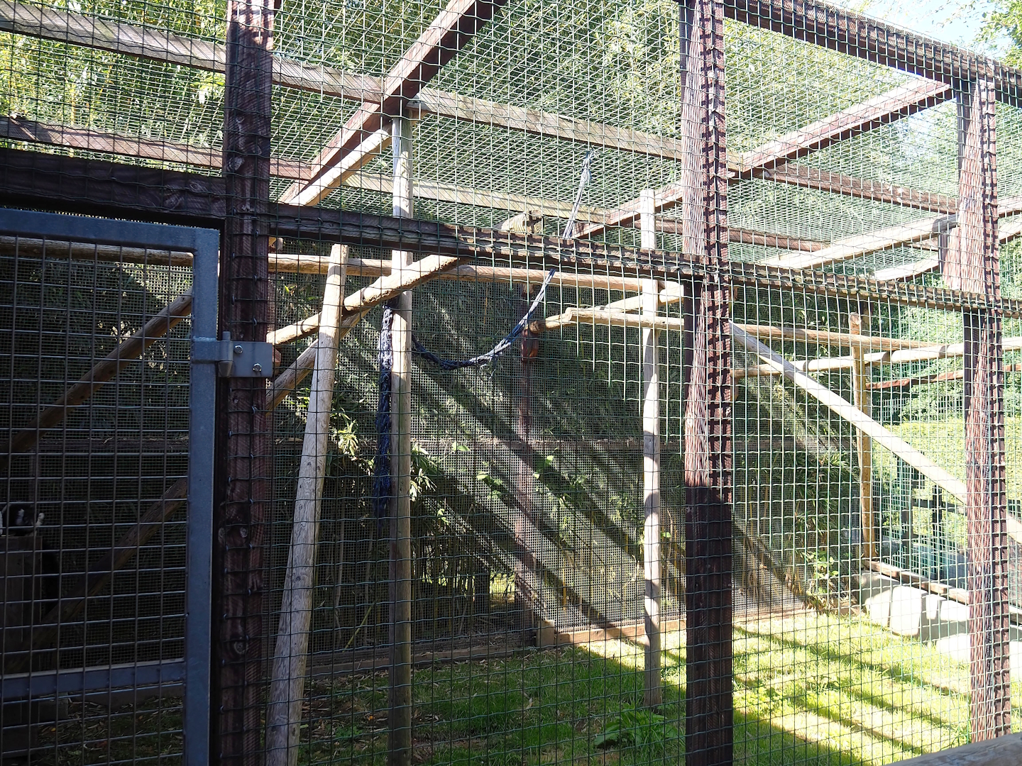 Black-and-white ruffed lemur exhibit, 2023-06-24