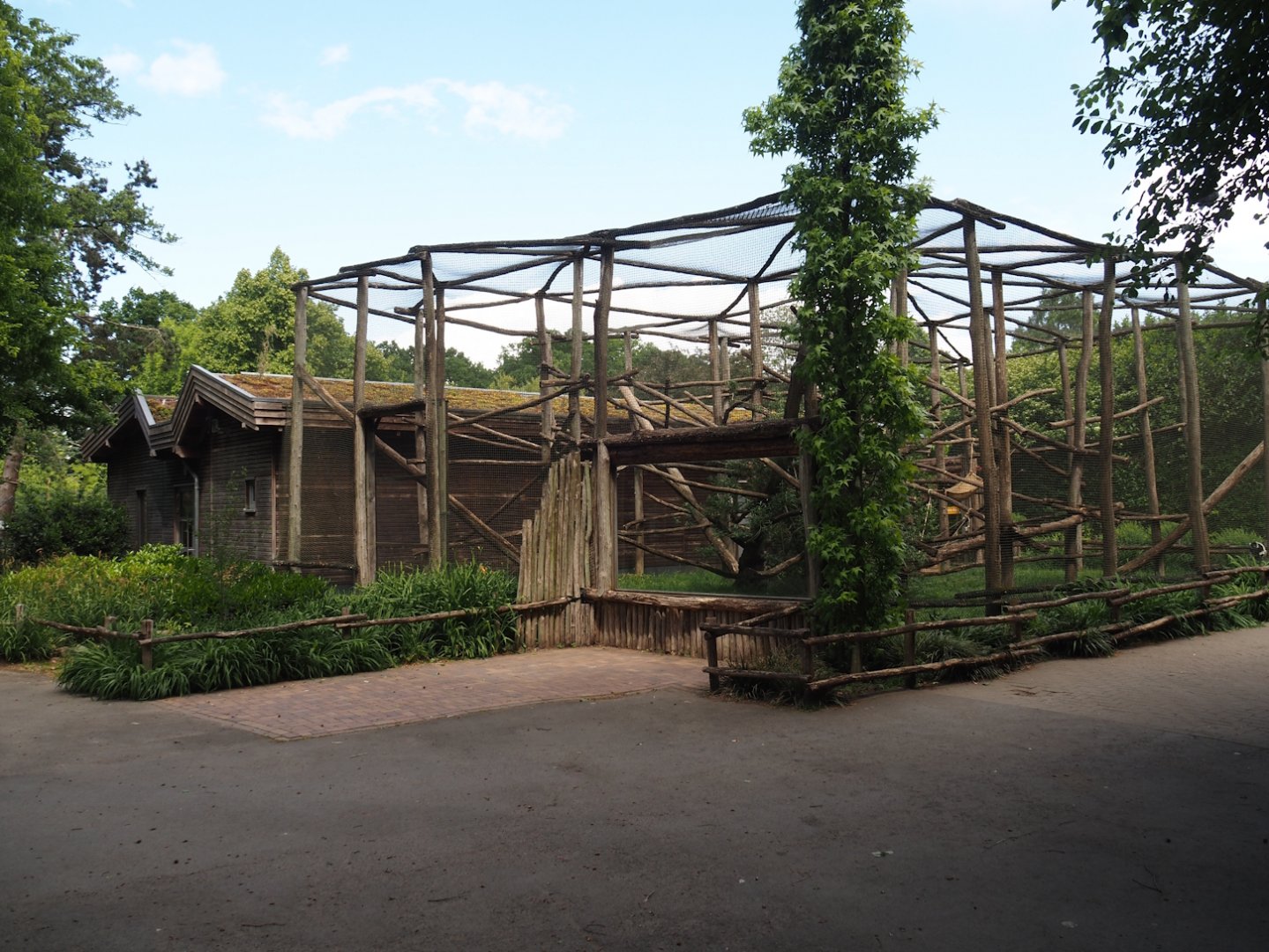 Black-and-white ruffed lemur exhibit, 2025-05-22