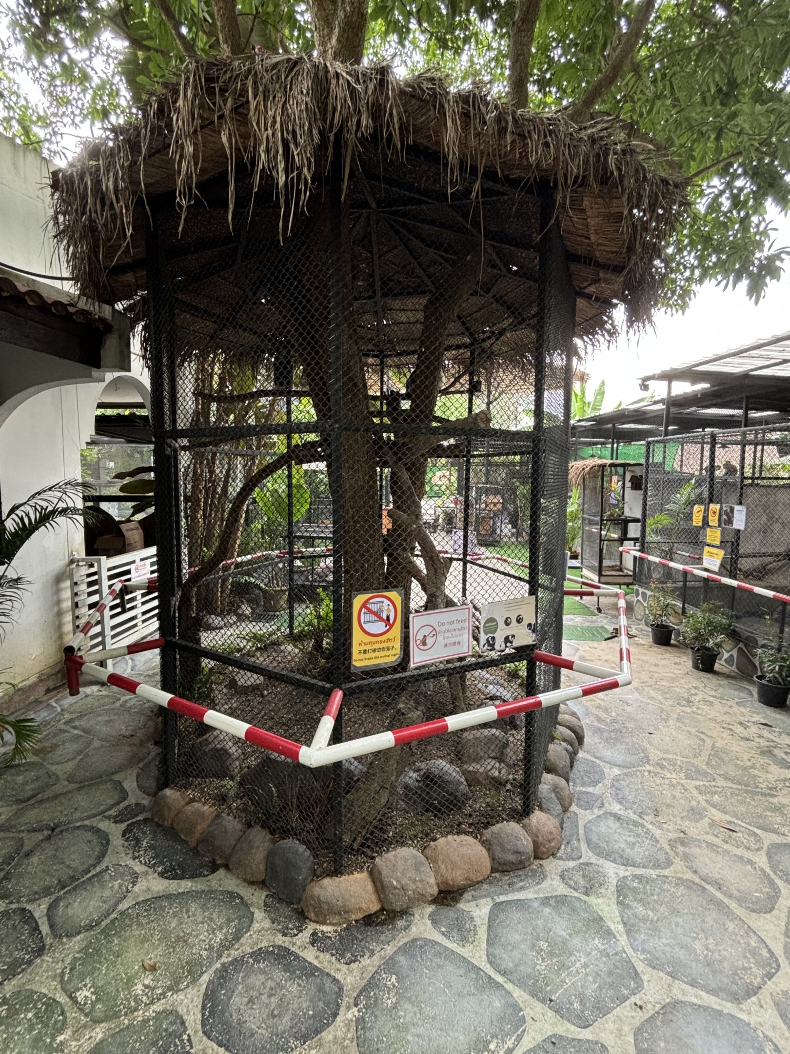 Black-and-white Ruffed Lemur Exhibit - Lanna Mini Zoo