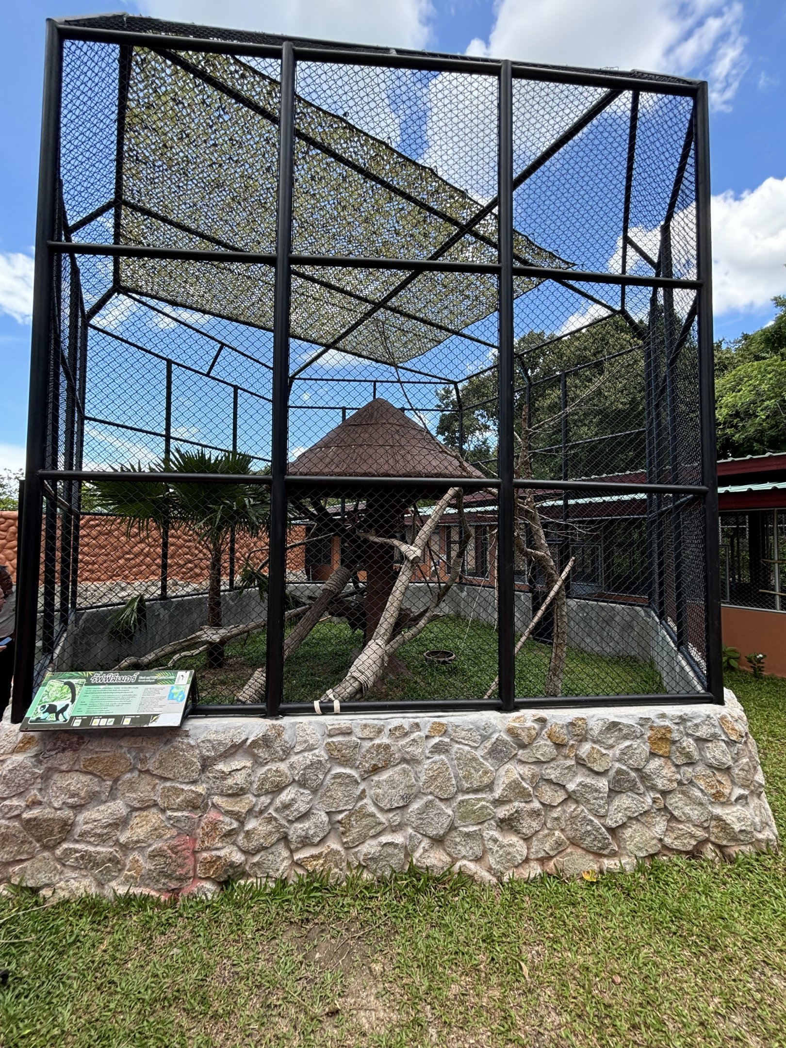 Black-and-white Ruffed Lemur Exhibit (New in 2024)