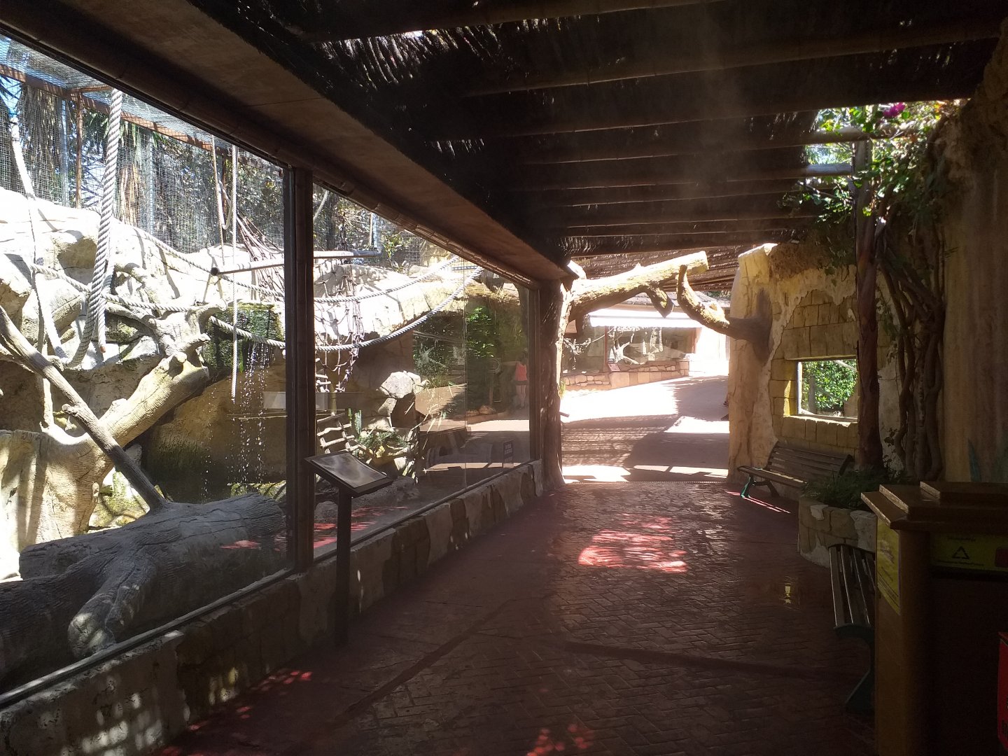 Black and white ruffed lemur exhibit view -MundoMar Benidorm (2021)