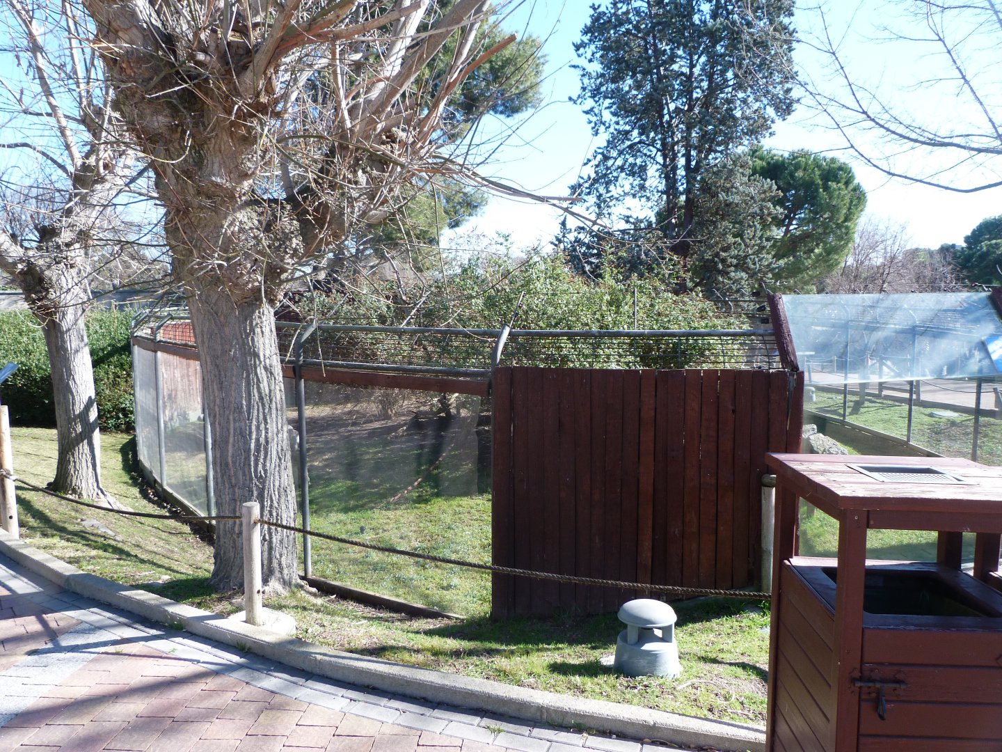 Black-and-white ruffed lemur exhibit -Zoo Aquarium de Madrid (2025)