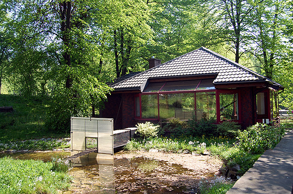 Black-and-white Ruffed Lemur exhibit