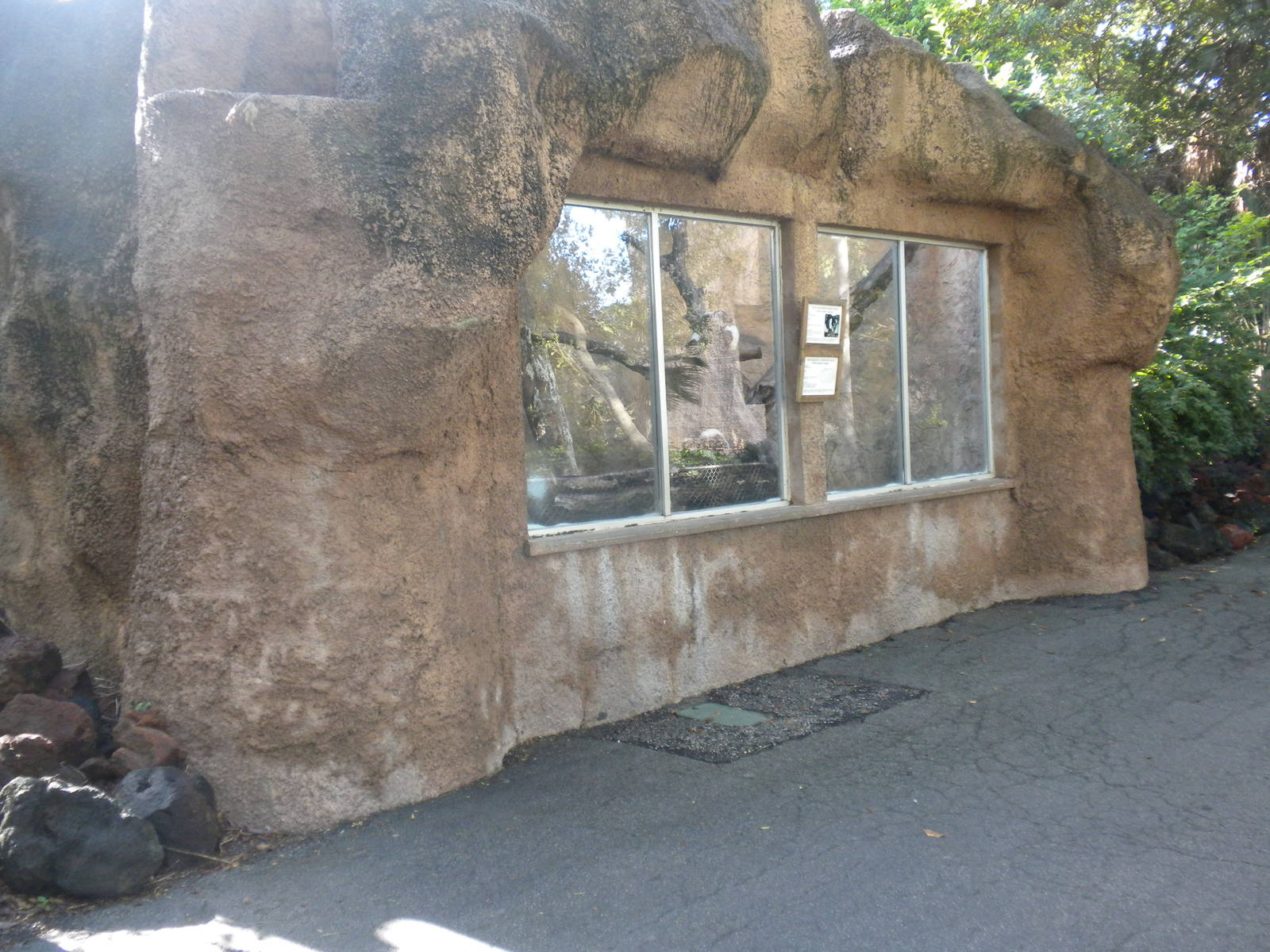 Black and White Ruffed Lemur exhibit