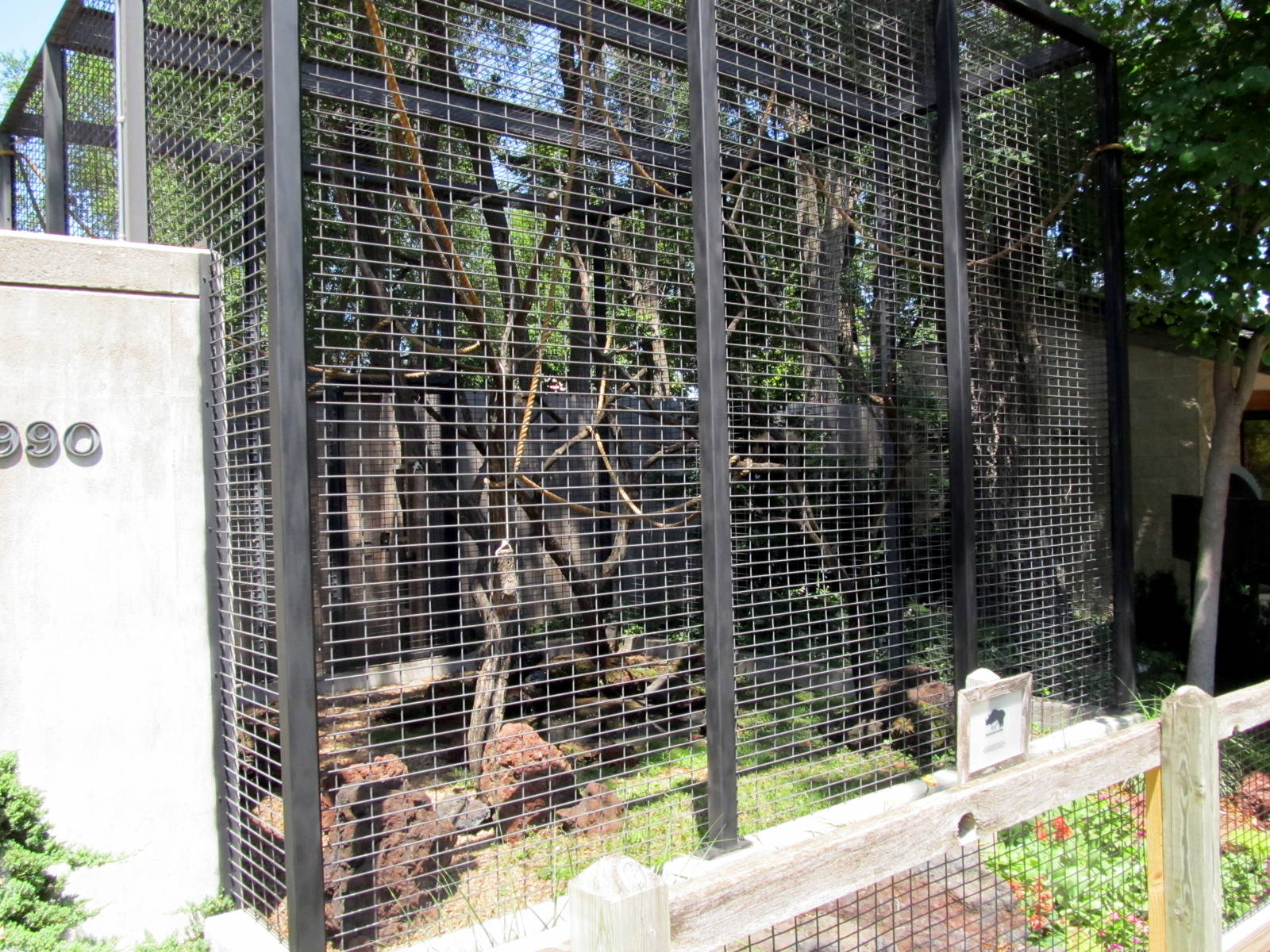 Black and White Ruffed Lemur Exhibit