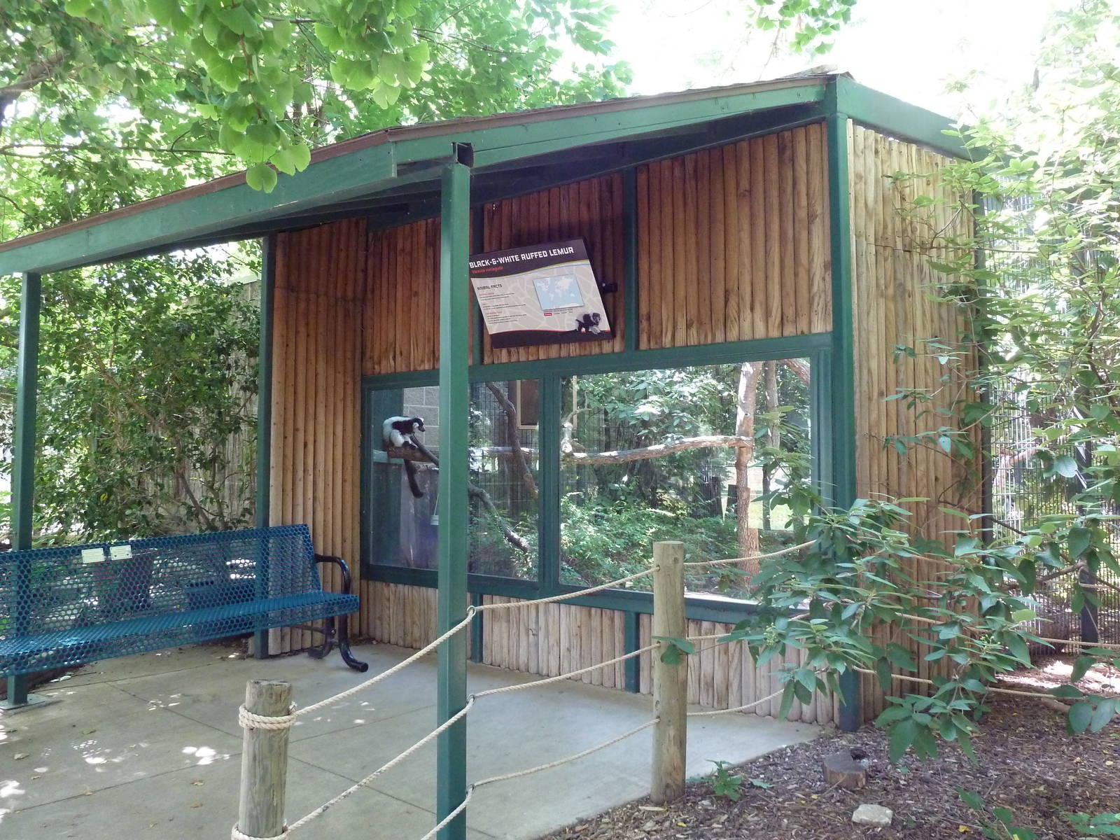 Black-and-White Ruffed Lemur Exhibit