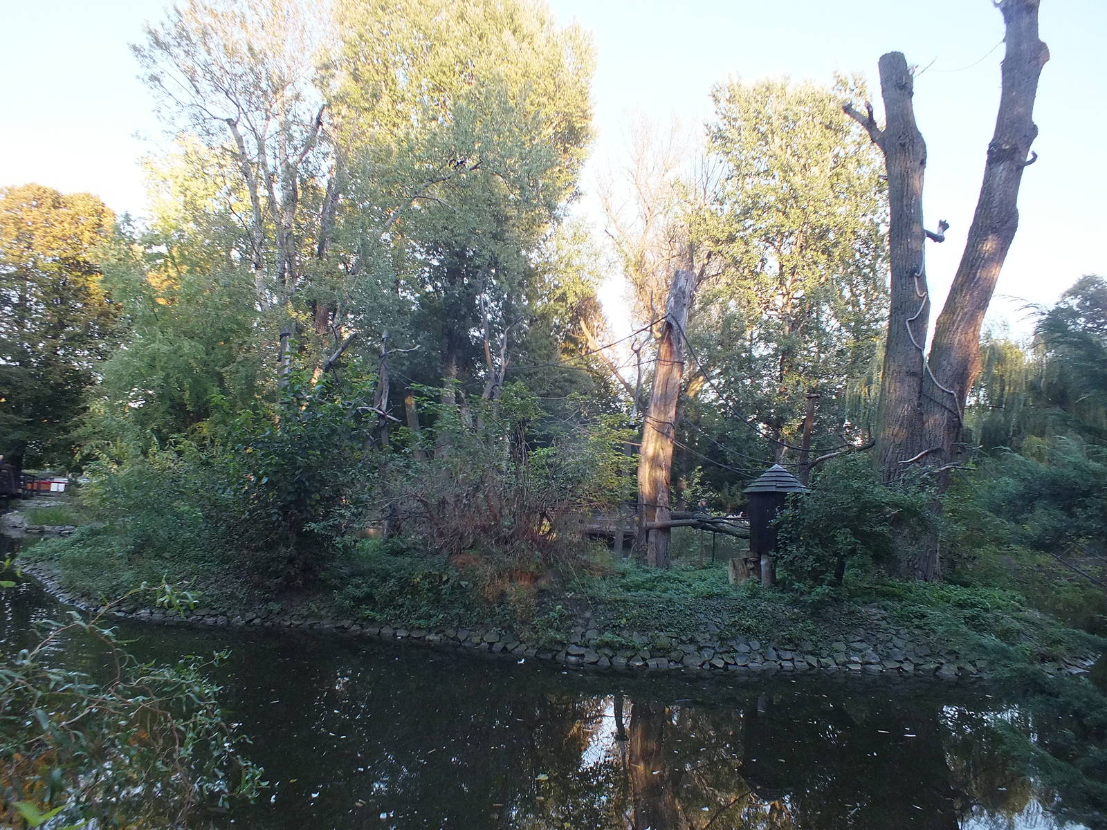 Black and white ruffed lemur exhibit