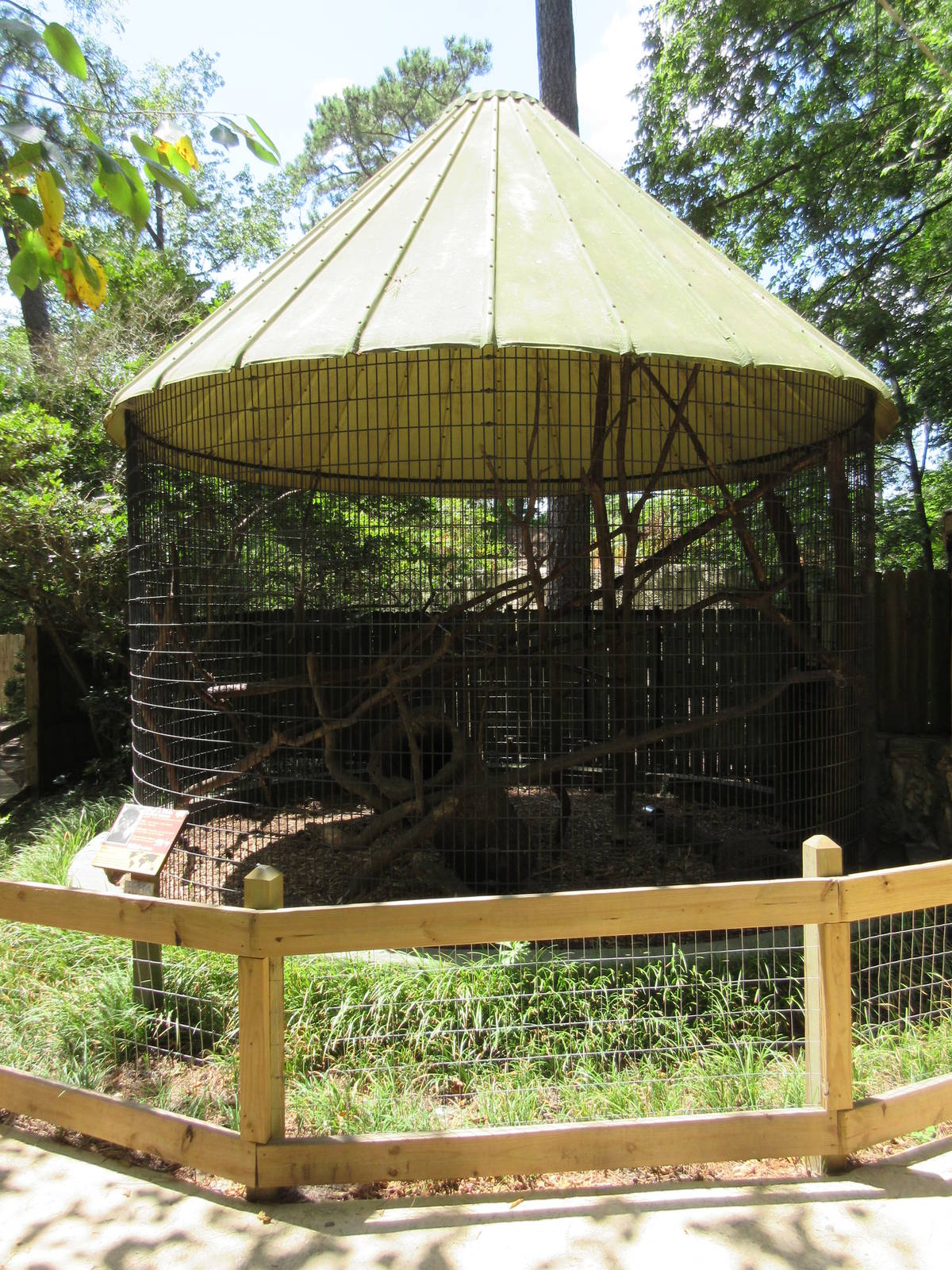 Black and White Ruffed Lemur Exhibit