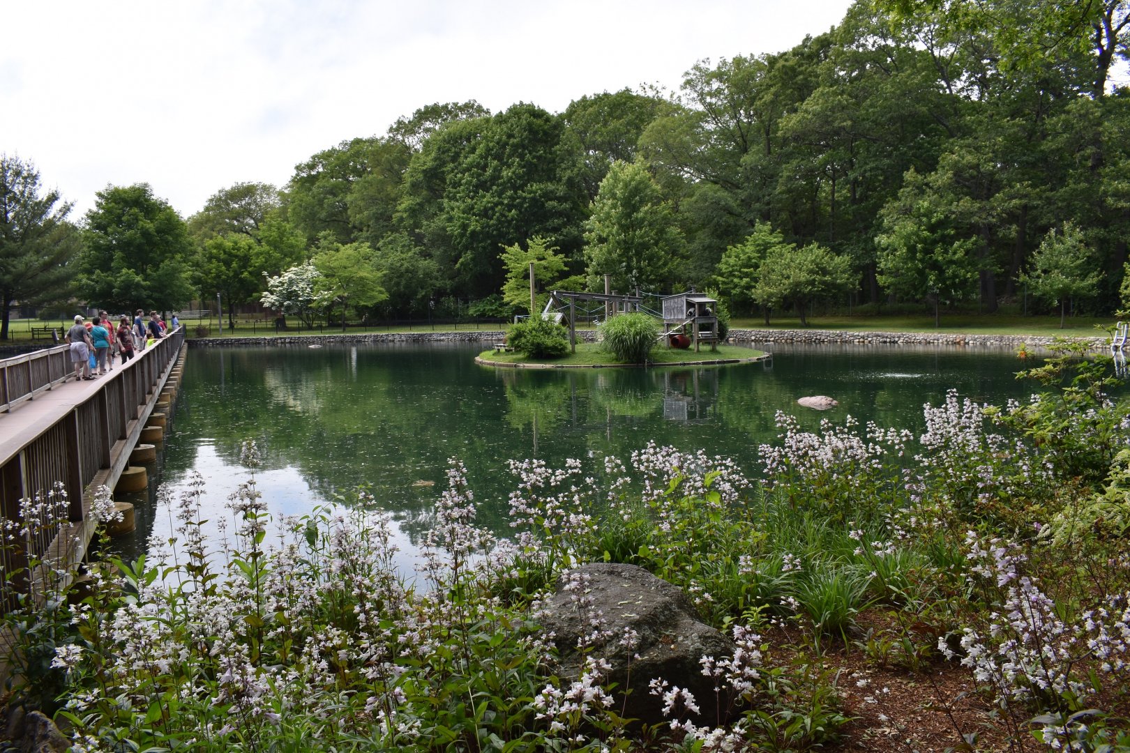 Black-and-white Ruffed Lemur Exhibit