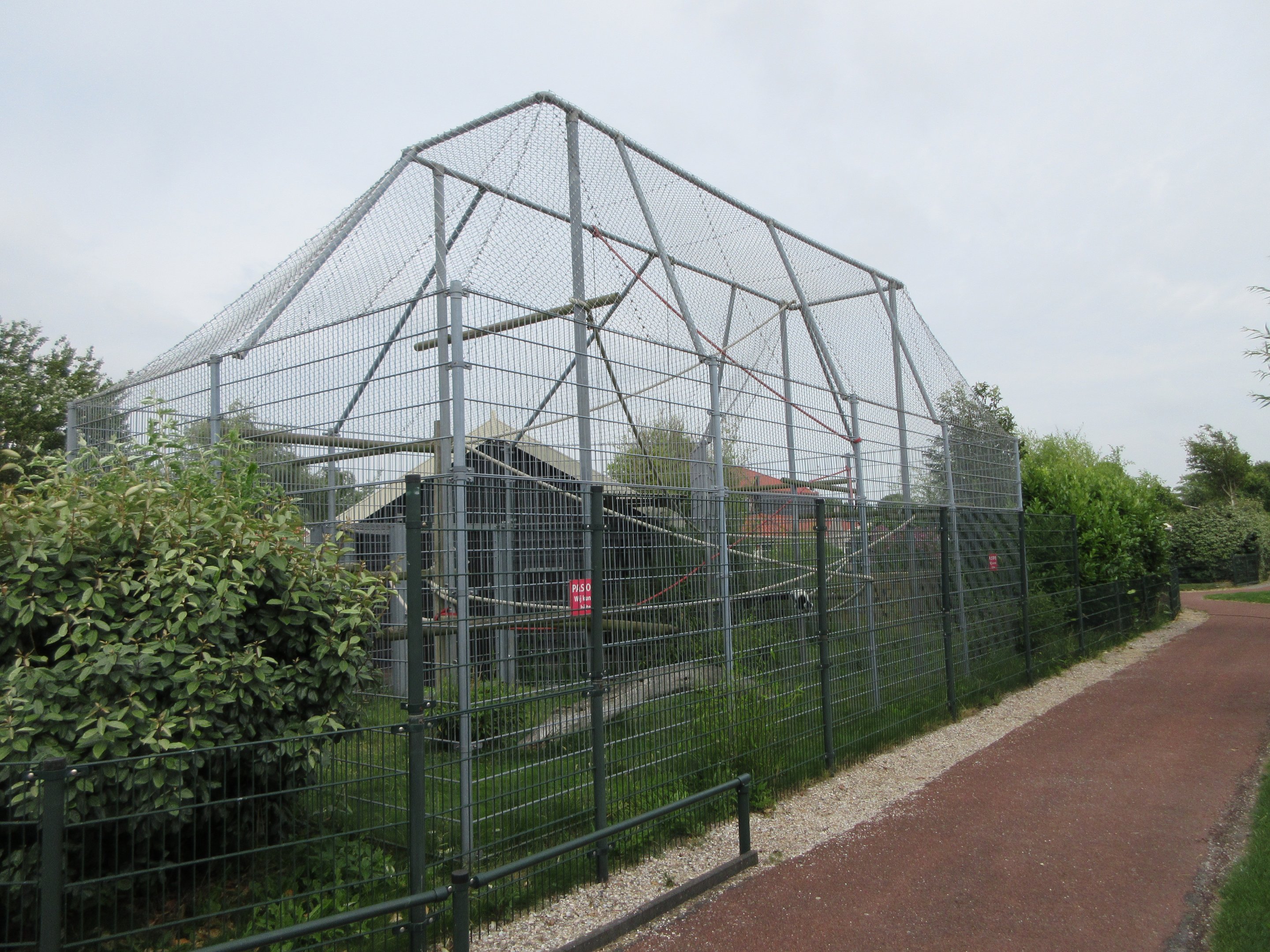 Black and White Ruffed Lemur Exhibit
