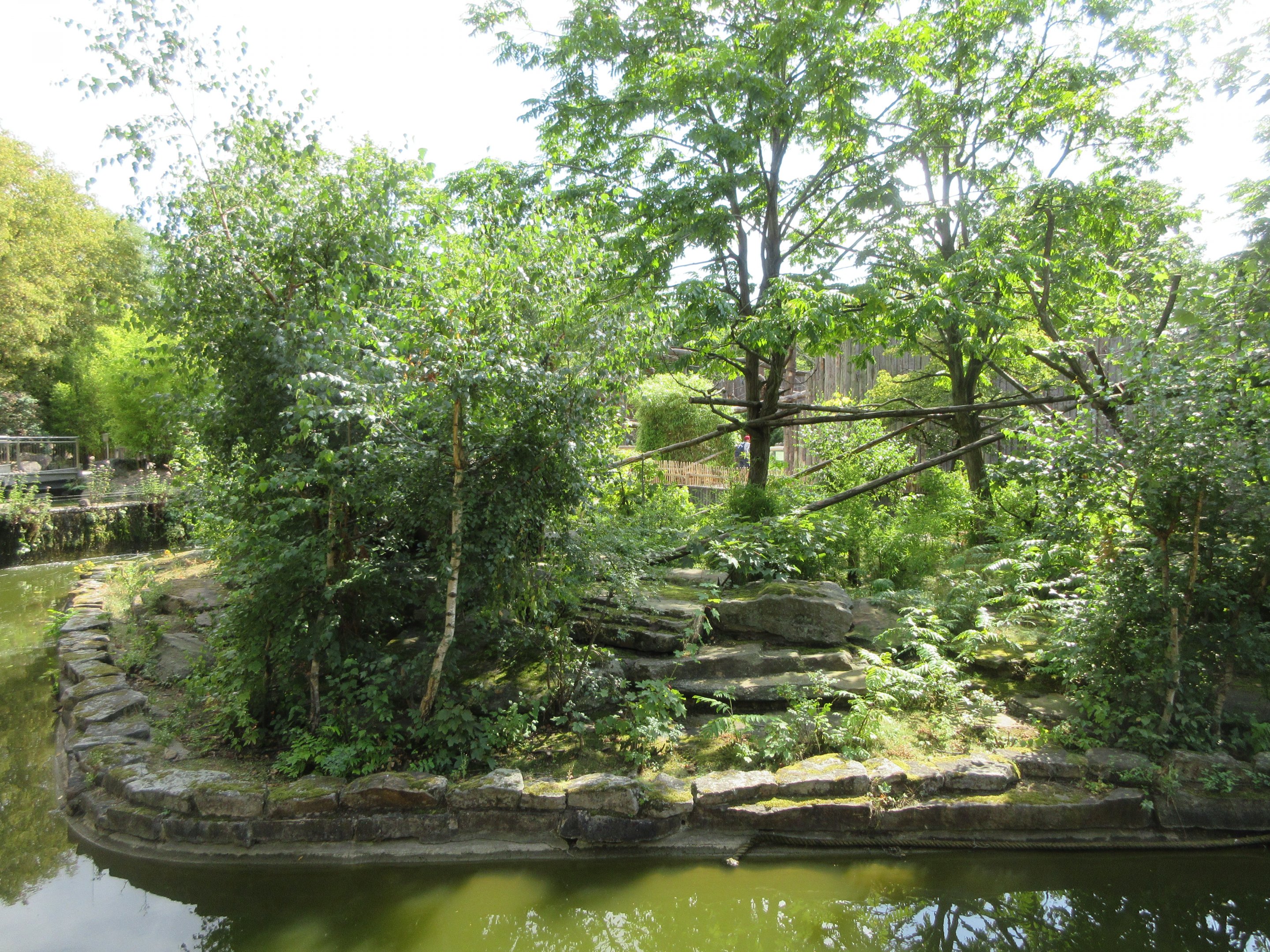 Black and White Ruffed Lemur Exhibit