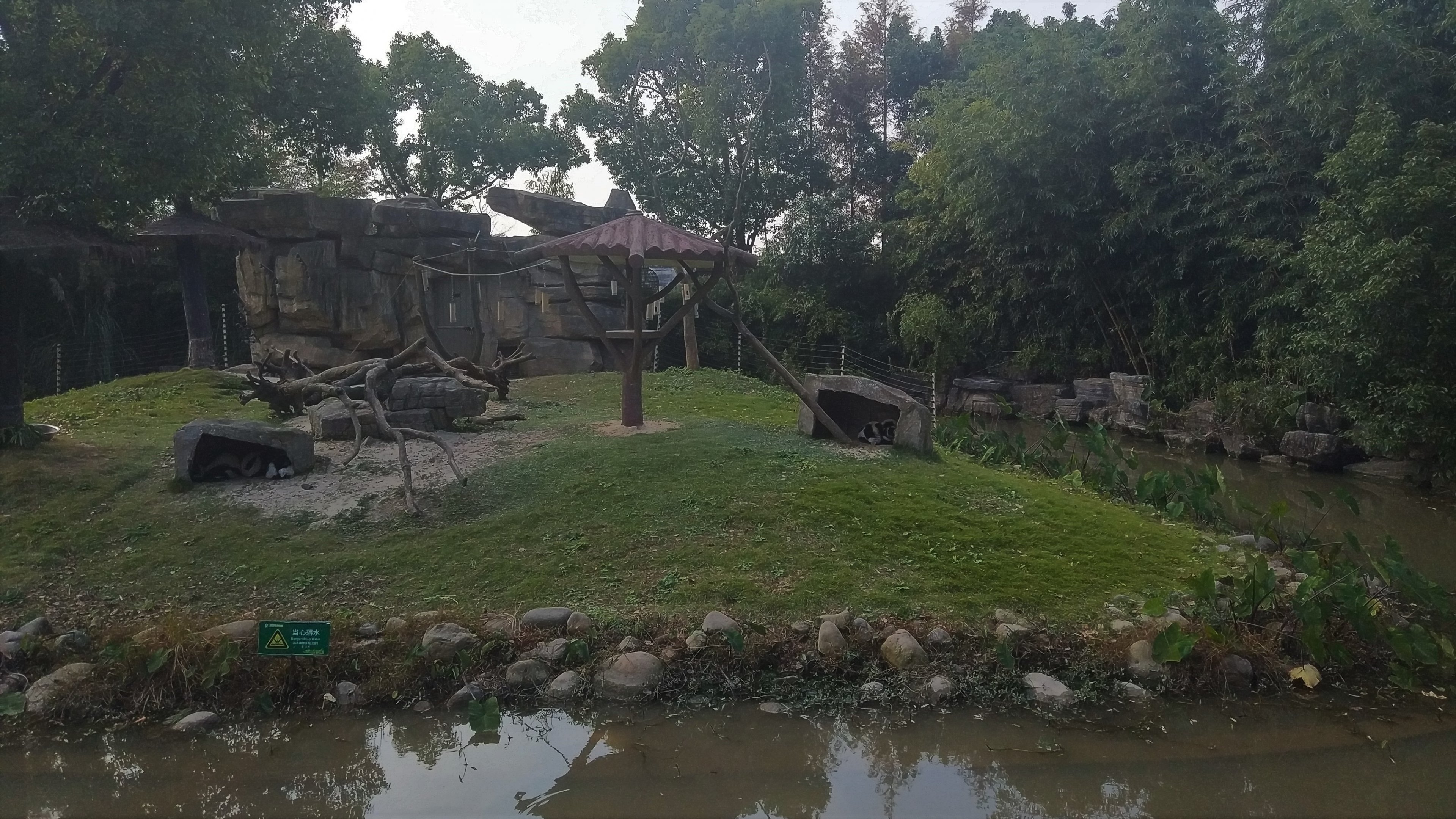 Black and White Ruffed Lemur Exhibit