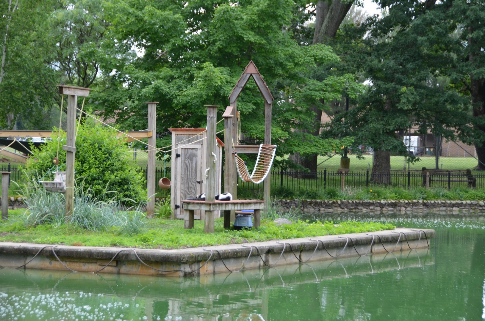 Black-and-White Ruffed Lemur Exhibit