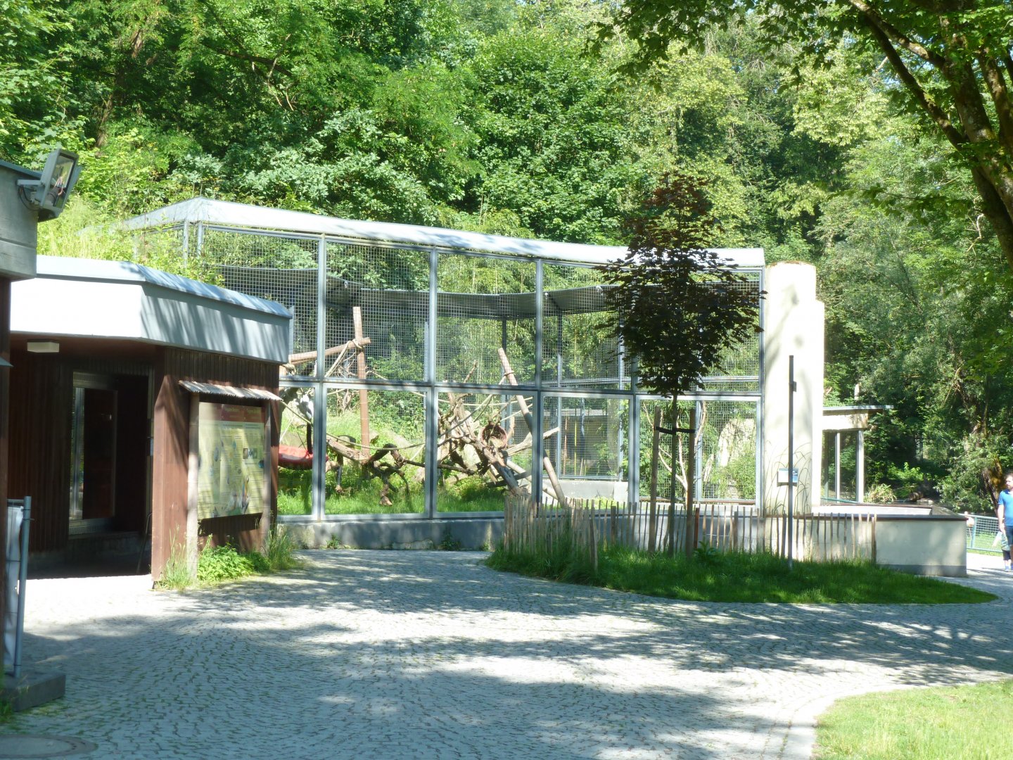 Black and white ruffed lemur exhibit