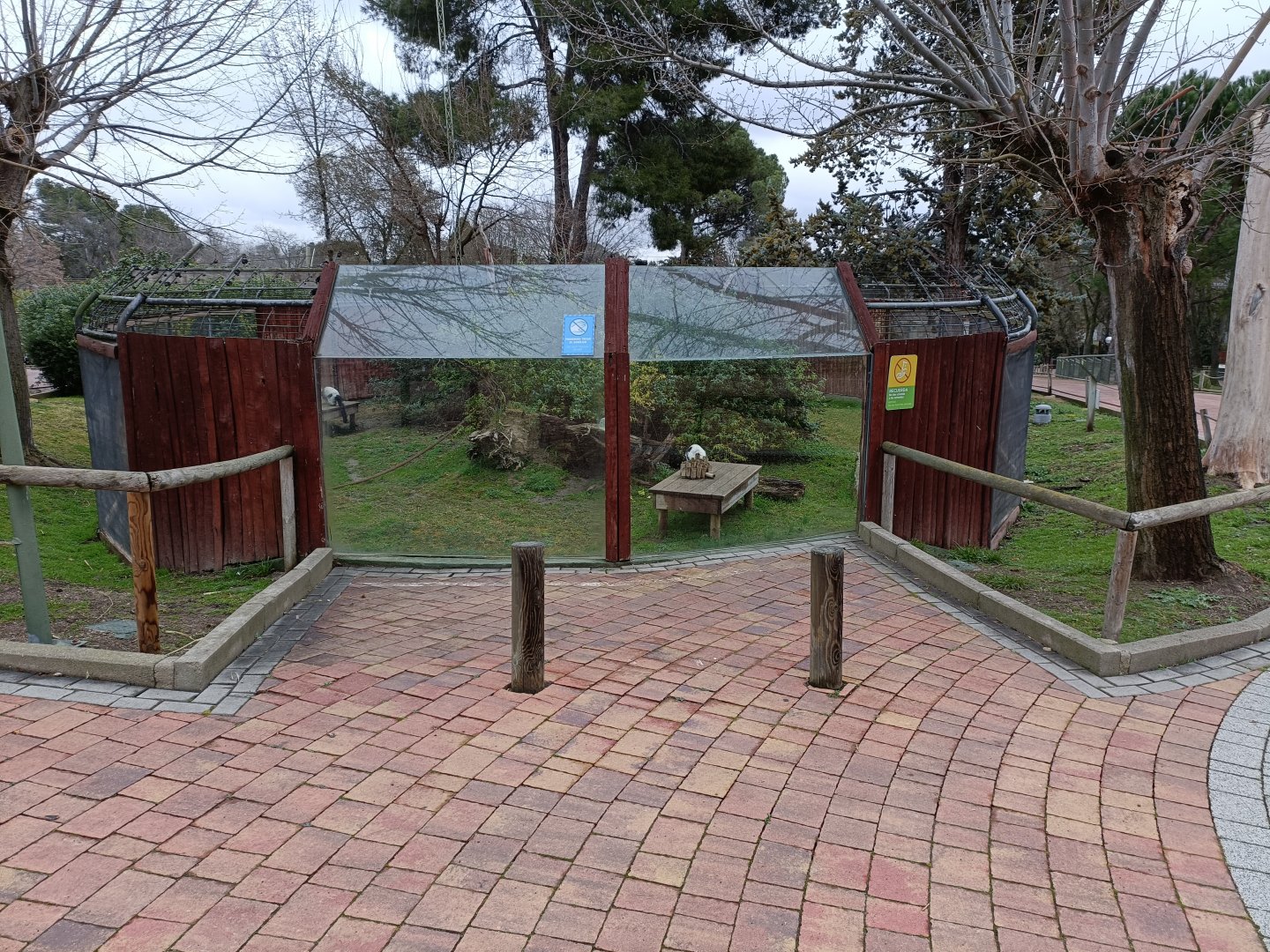 Black and white ruffed lemur exhibit
