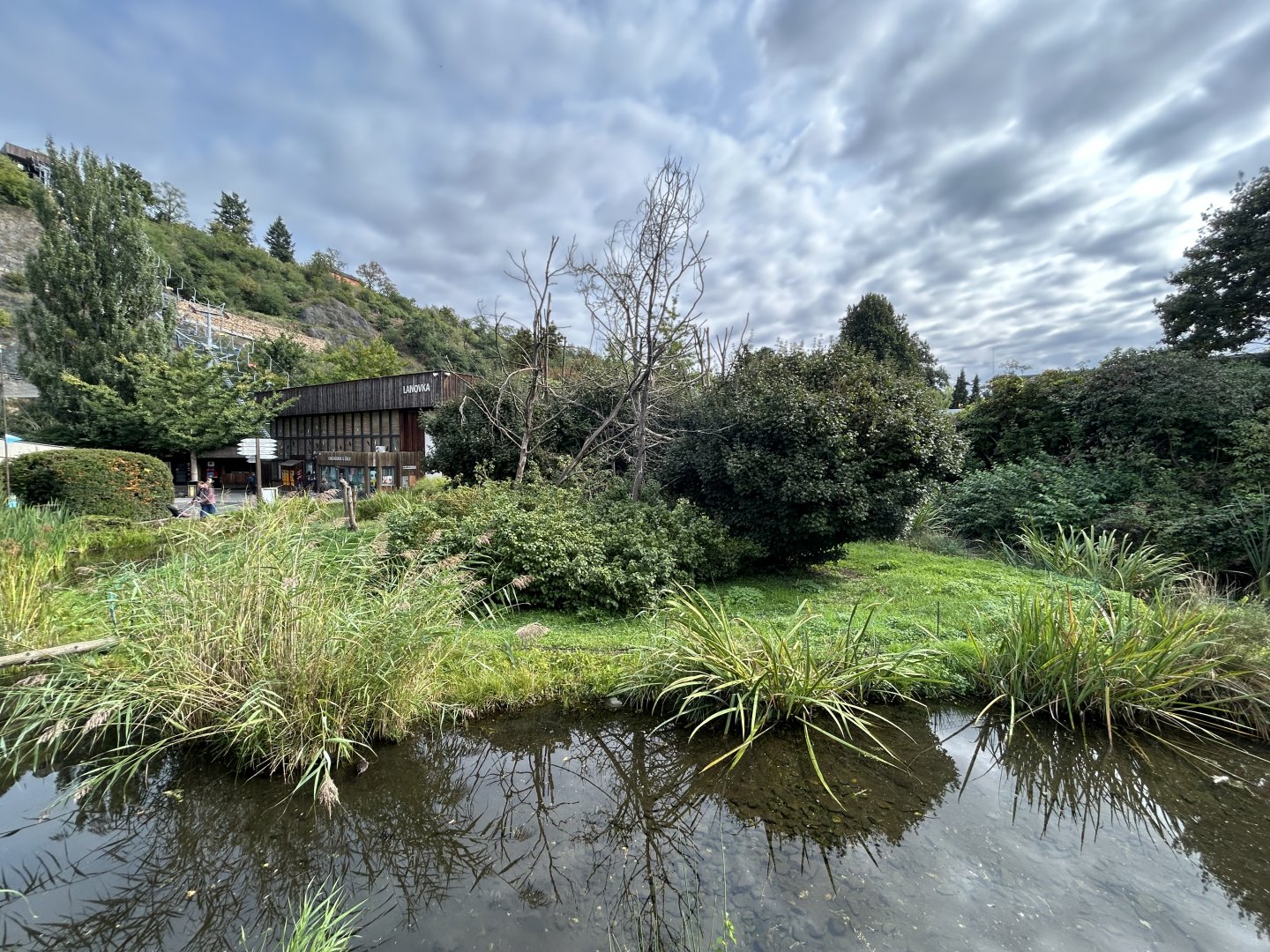 Black-and-White Ruffed Lemur Exhibit