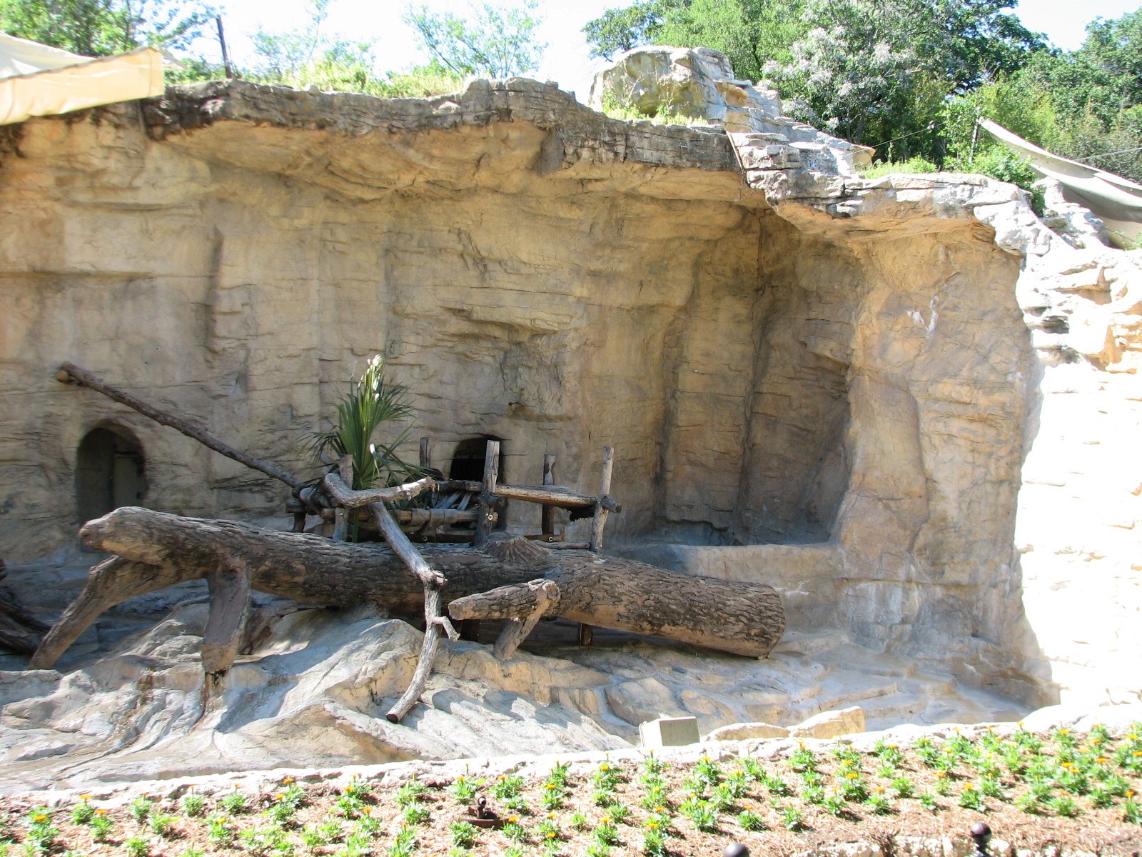 Black-and-white Ruffed Lemur Exhibit