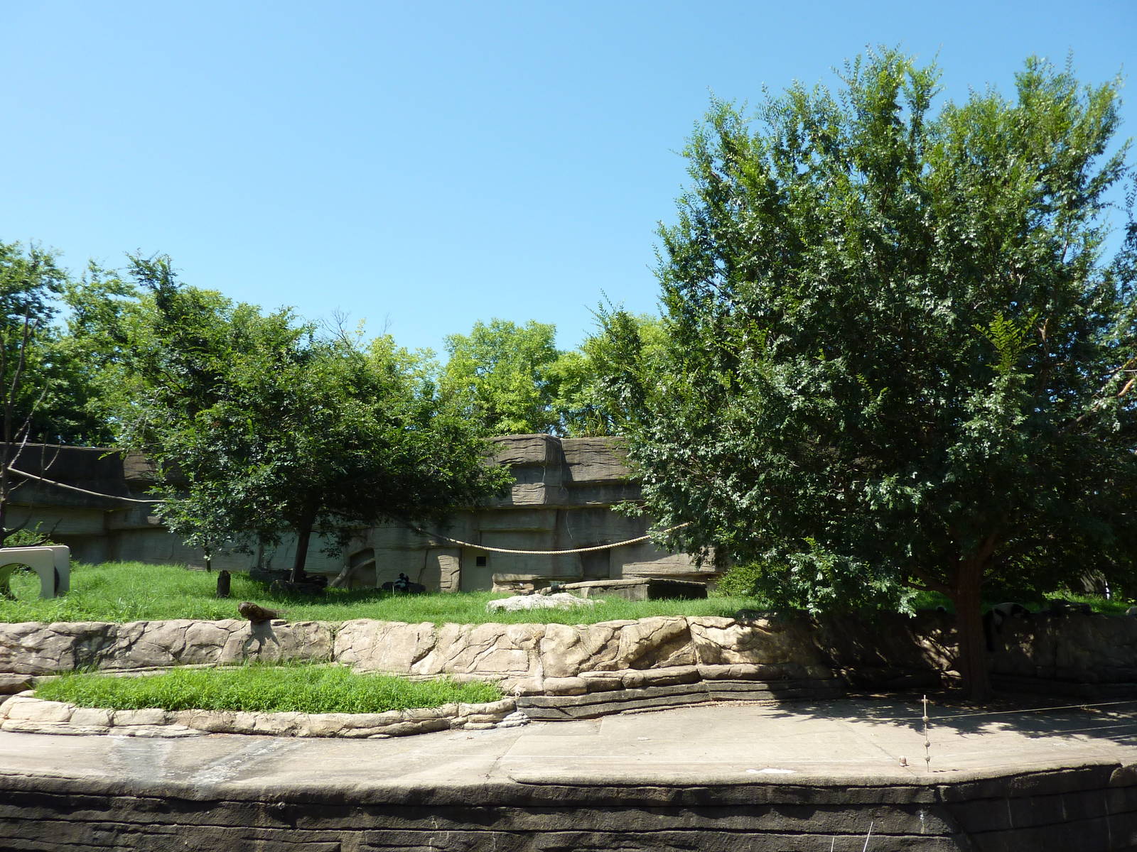 Black-and-White Ruffed Lemur Grotto