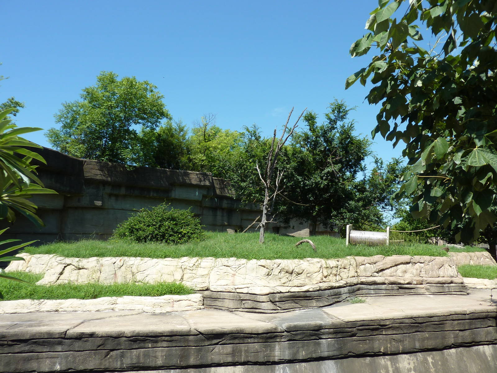 Black-and-White Ruffed Lemur Grotto