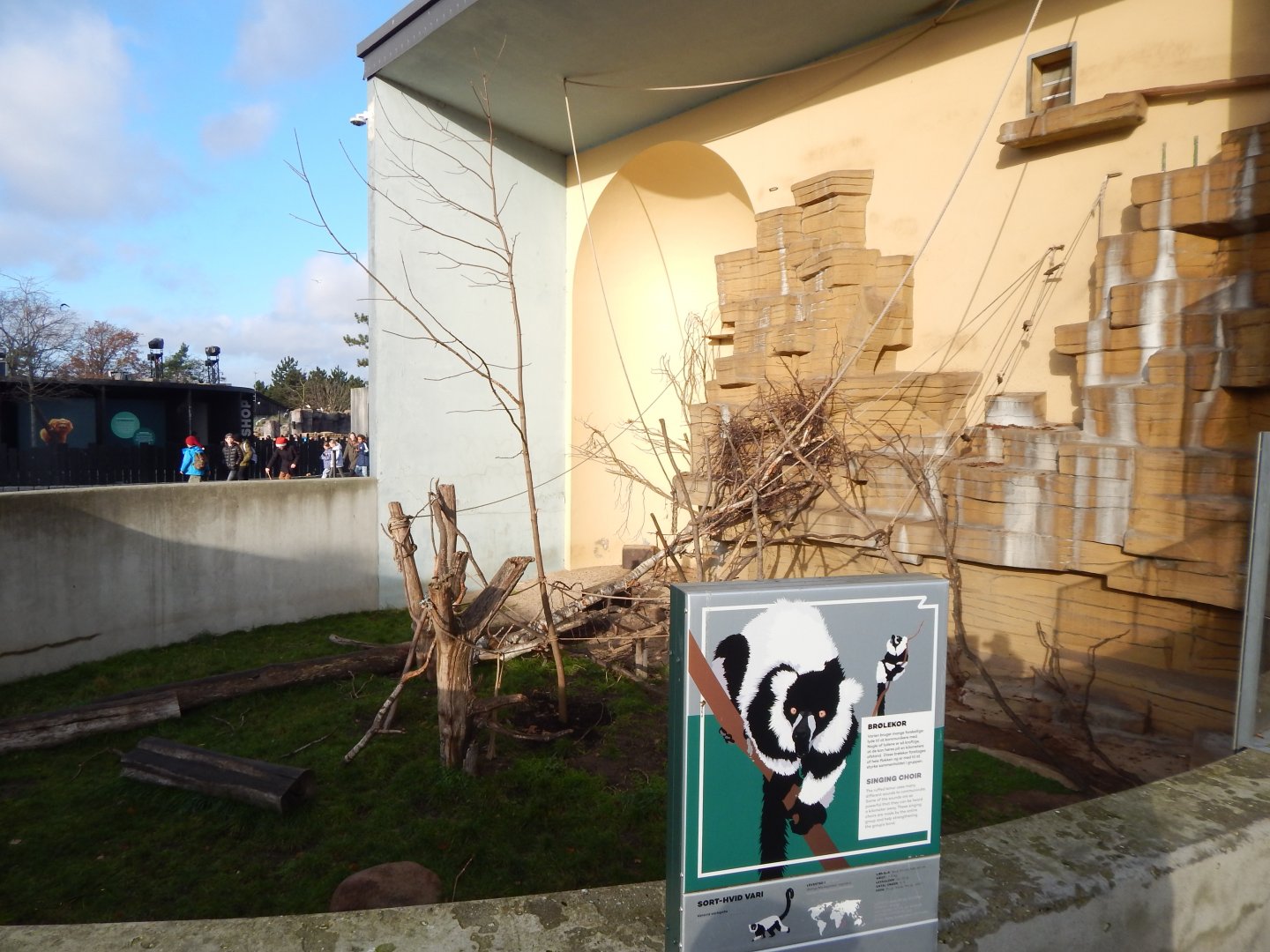 Black and white ruffed lemur habitat 261124