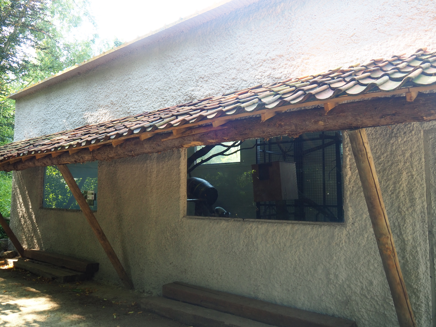 Black-and-white ruffed lemur house, 2019-08-04