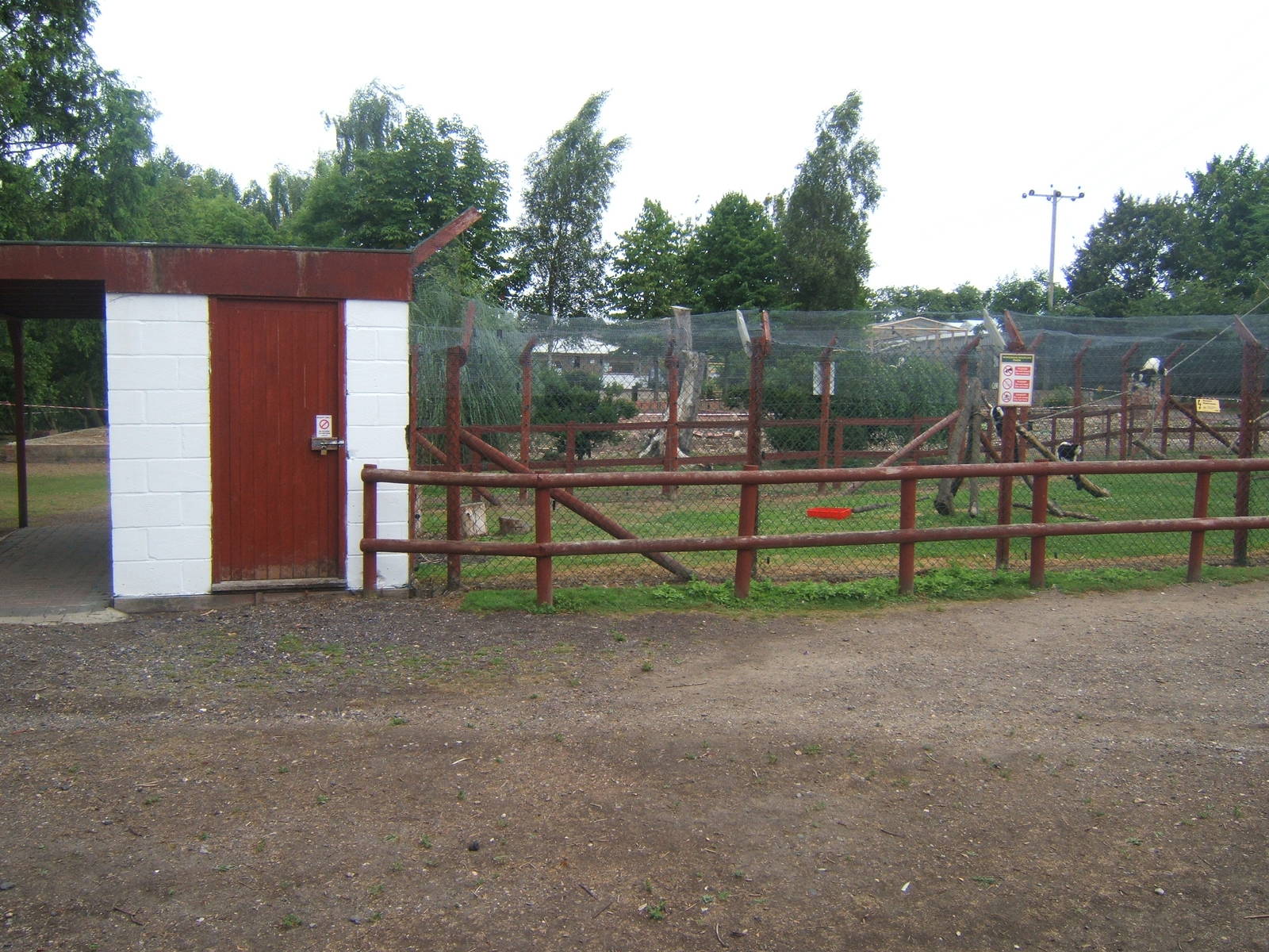 Black and White Ruffed Lemur house and enclosure
