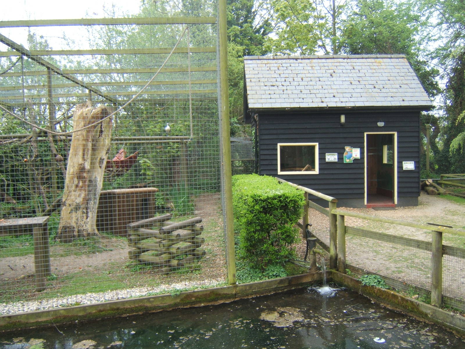 Black and White Ruffed Lemur House and part of the enclosure