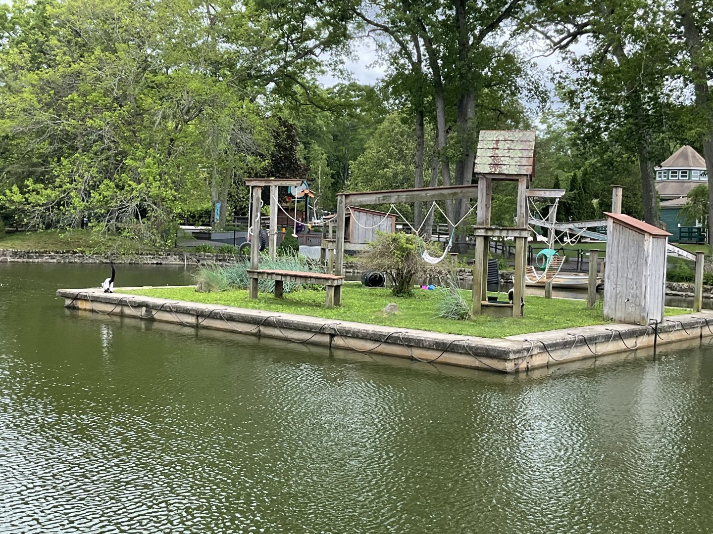 Black-and-White Ruffed Lemur Island