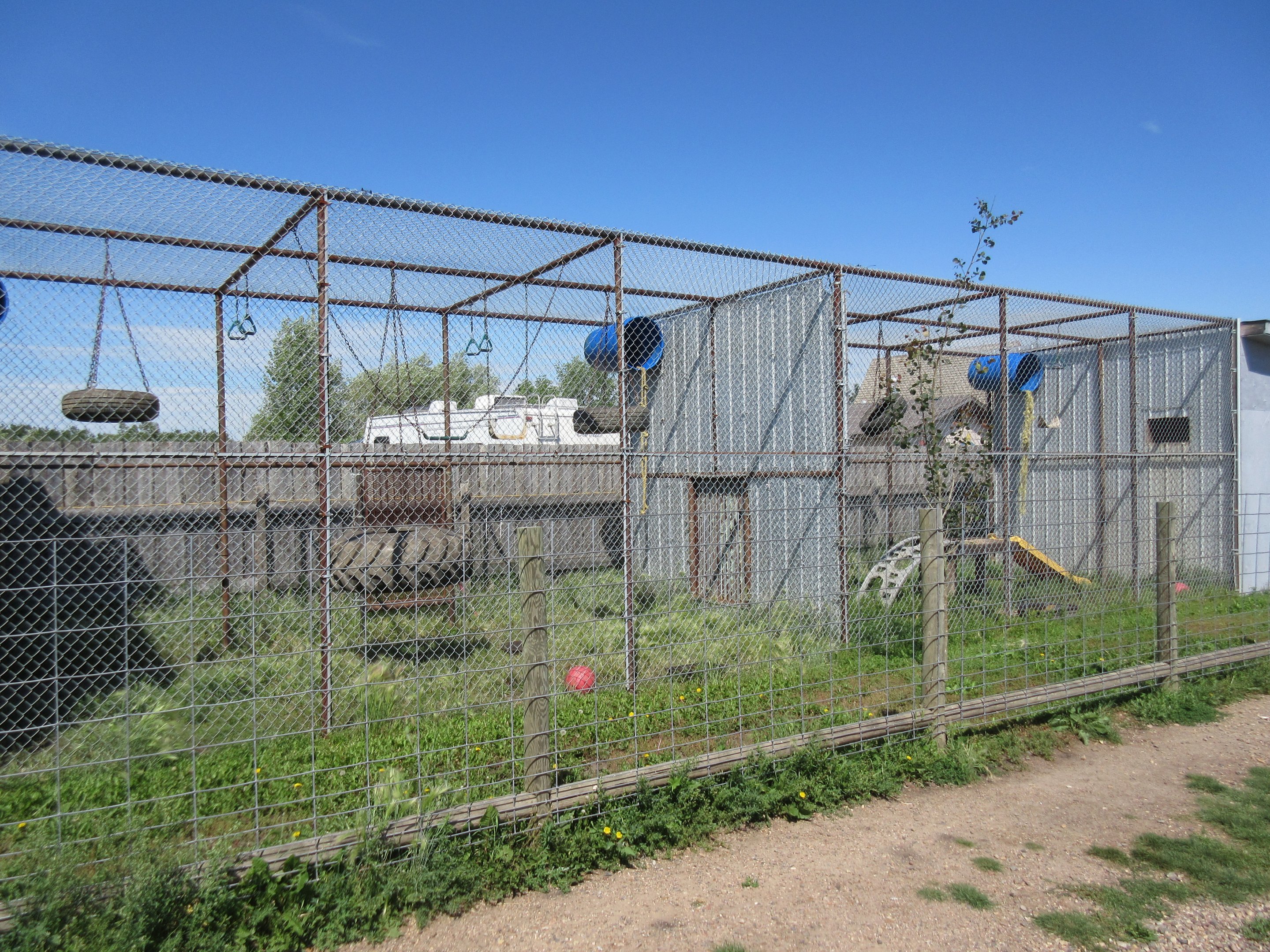 Black-and-White Ruffed Lemur + Japanese Macaque Exhibits