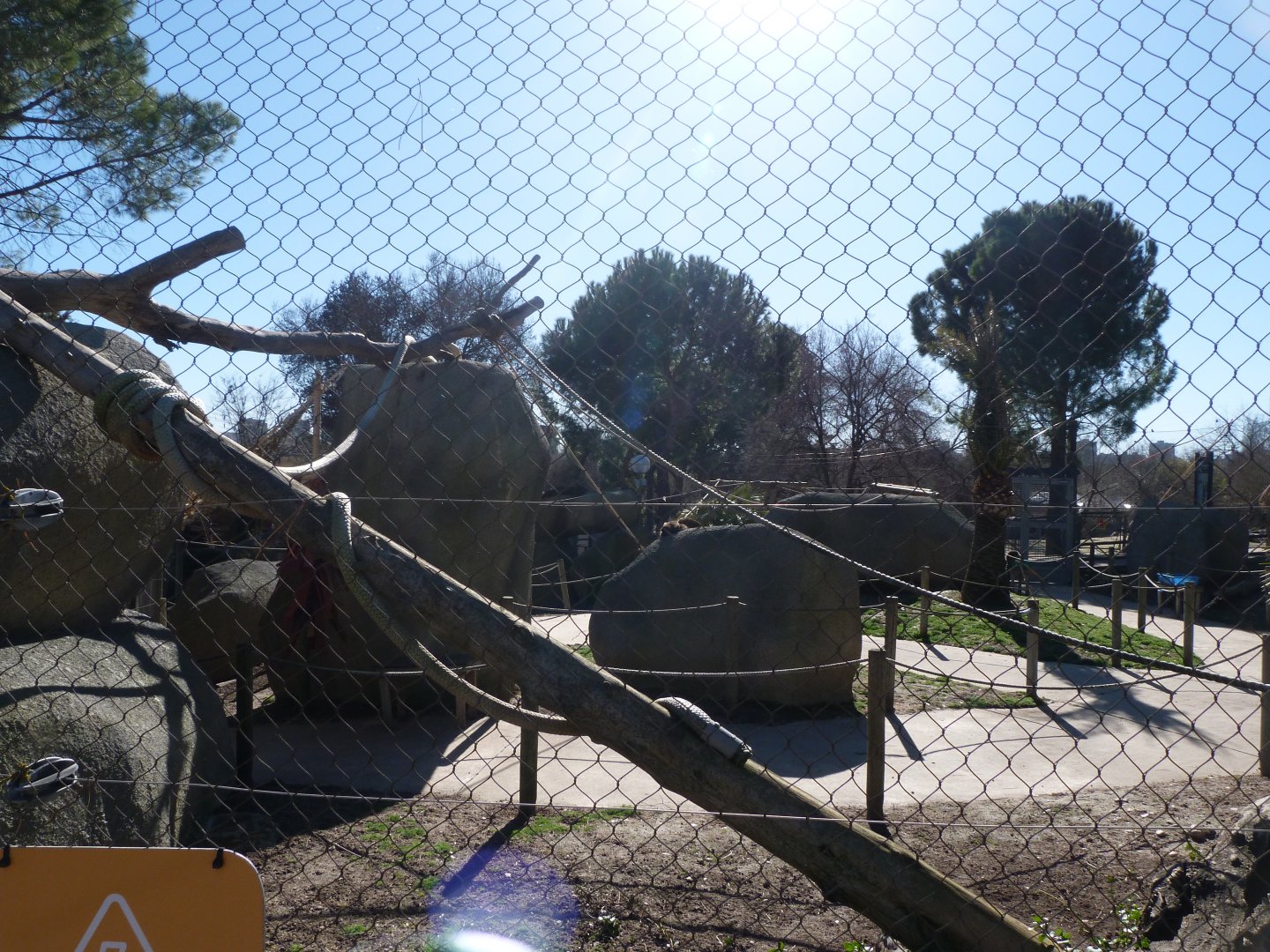 Black-and-white ruffed lemur, Ring-tailed lemur and Common brown lemur exhibit -Zoo Aquarium de Madrid (2025)